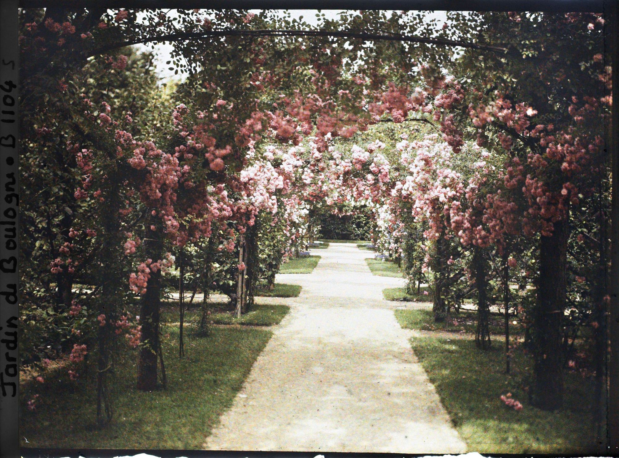 Image représentant Axe central du verger-roseraie vu vers la dépendance, après le rond-point proche du jardin français