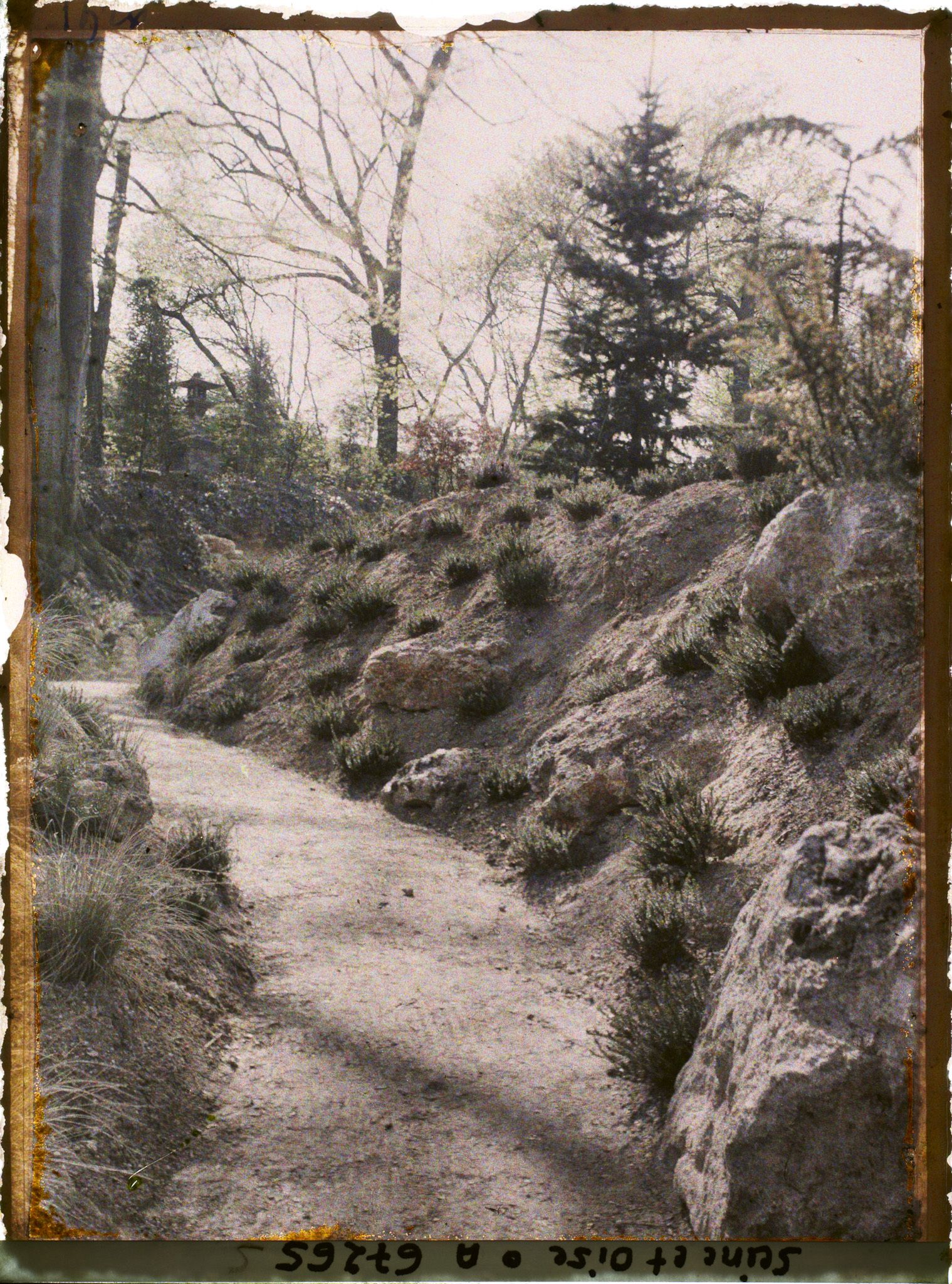 Image représentant Le jardin japonais de l'école normale supérieure de jeunes filles (ENSJF)