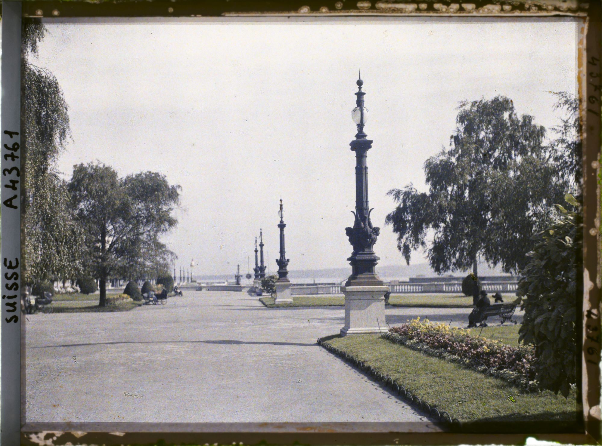 Image représentant Les allées du quai du Mont-Blanc