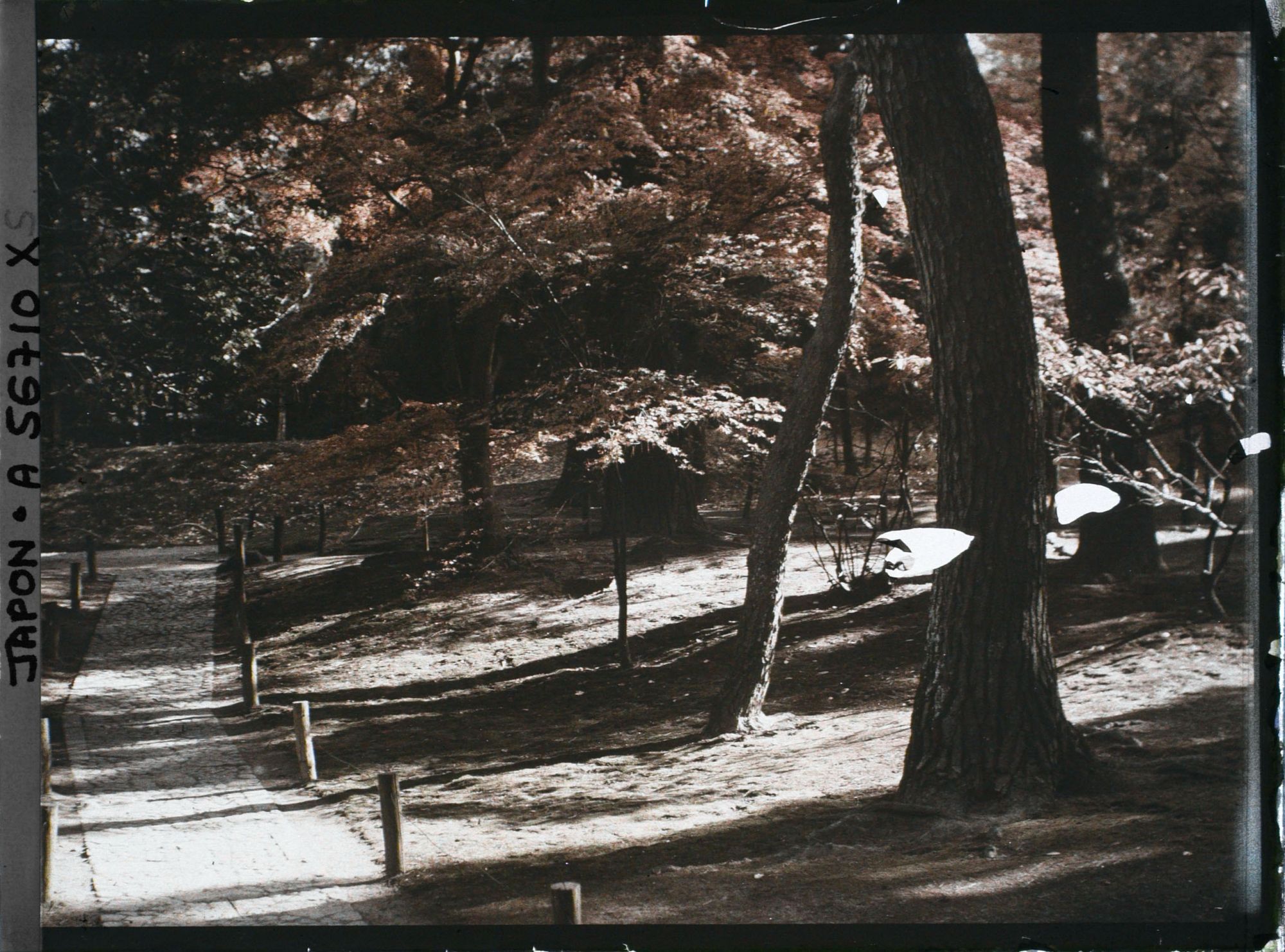 Image représentant Jardin Kôrakuen