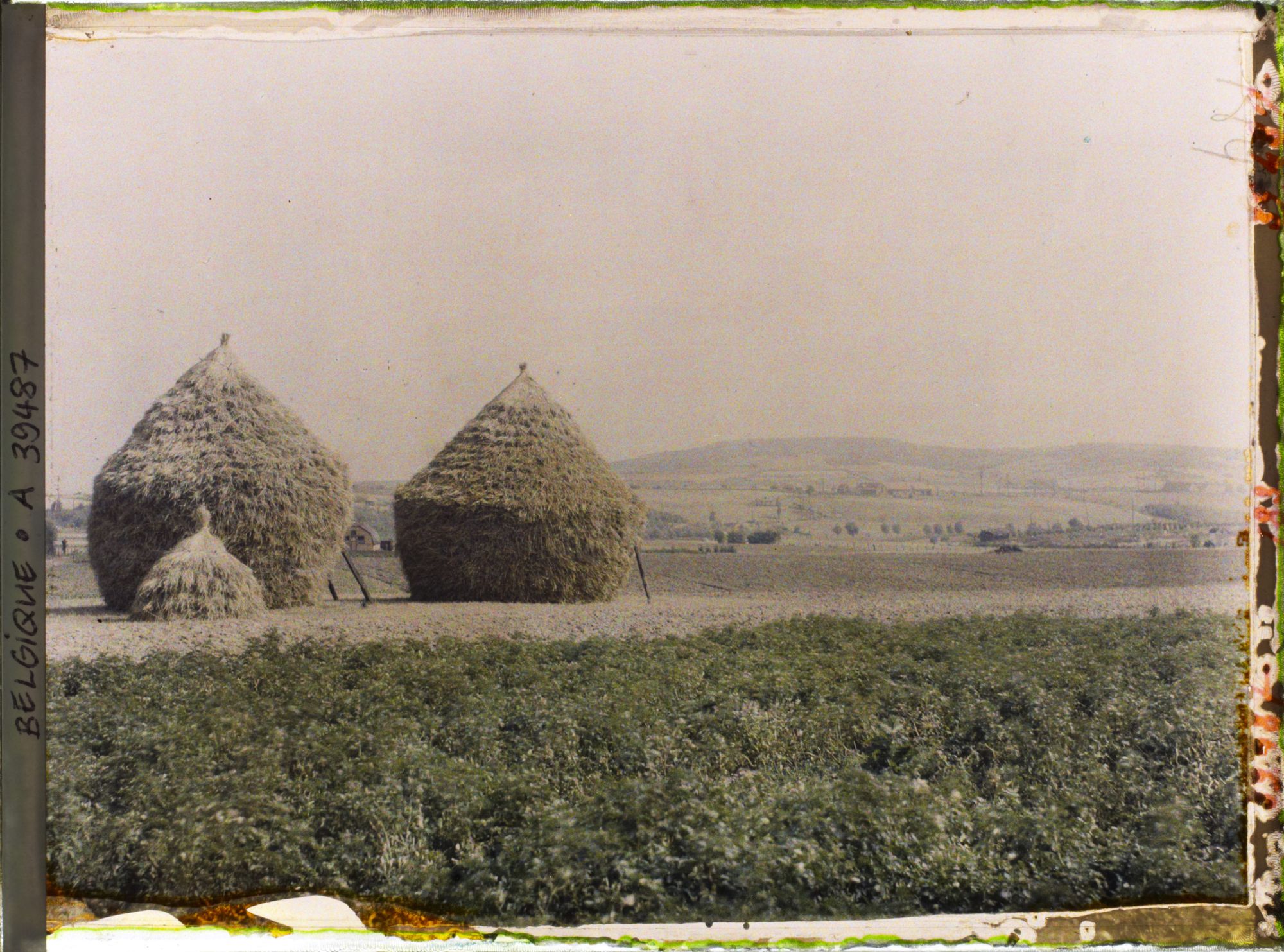 Image représentant Belgique, Locre, Le Kemmel vu de Locre