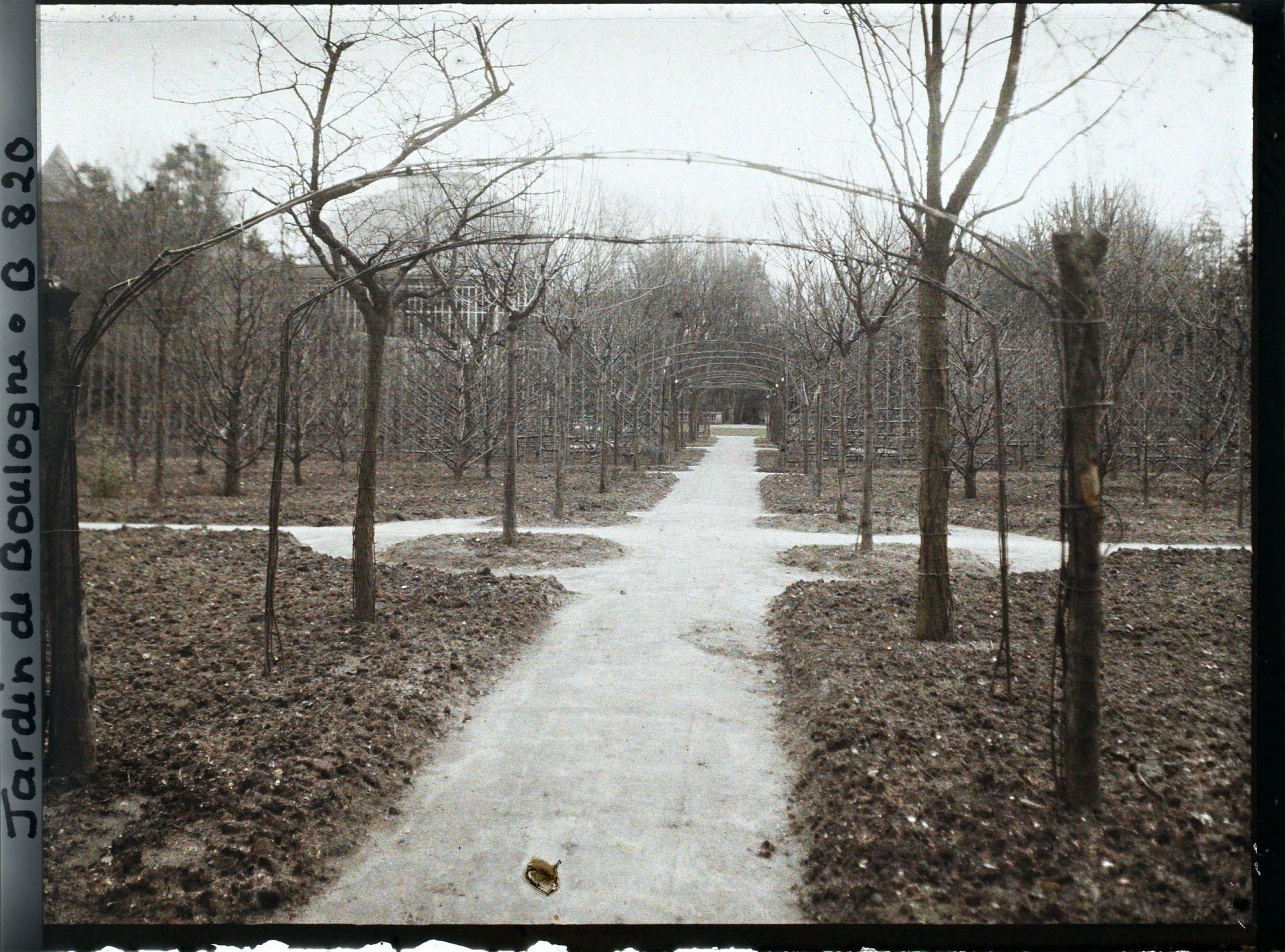 Image représentant Le verger-roseraie labouré et son axe central, vus non loin de la dépendance, en direction de l'est
