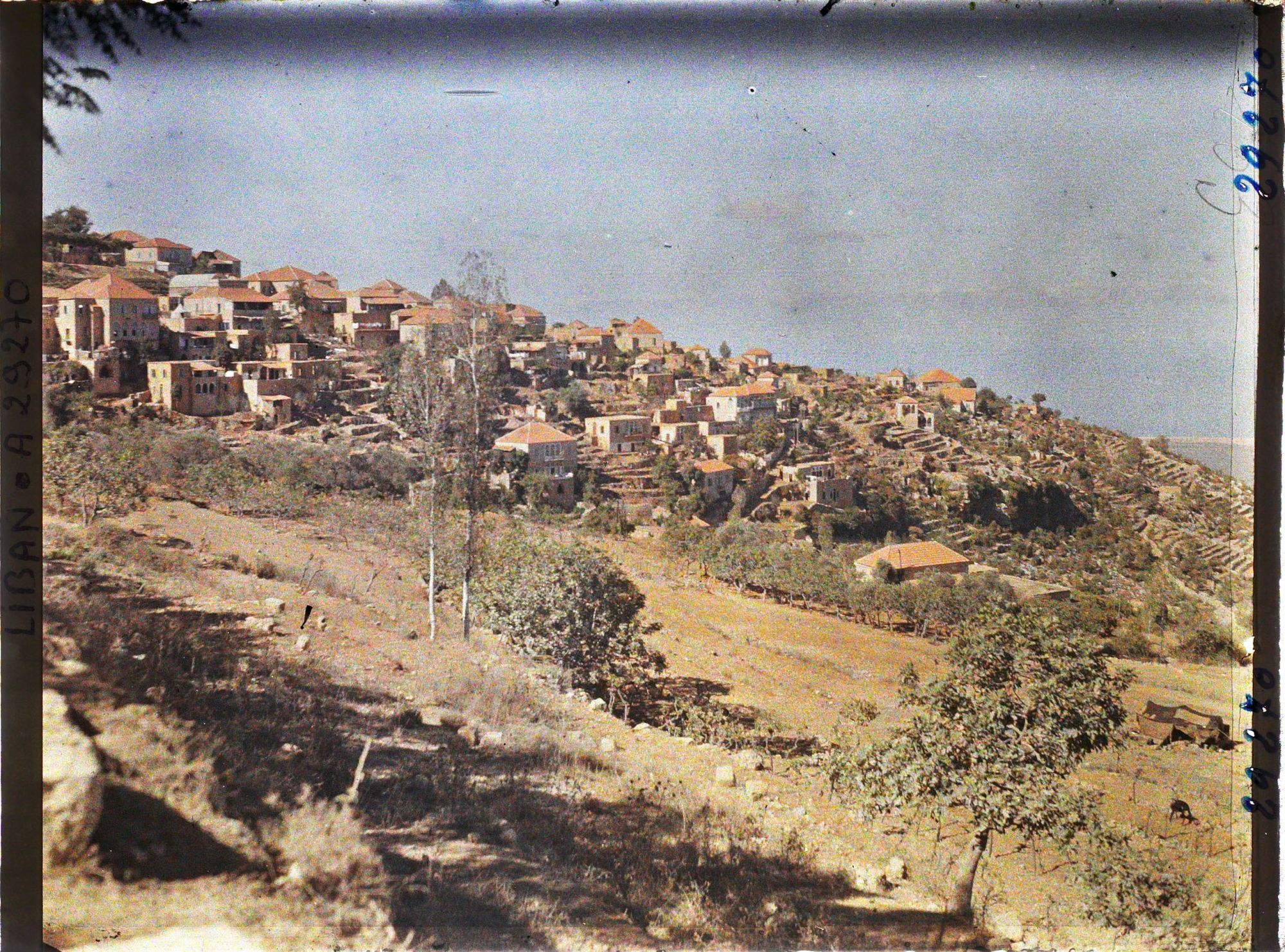 Image représentant Panorama de la ville