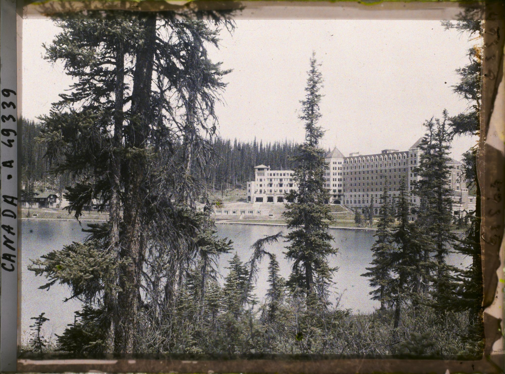 Image représentant Canada, Lac Louise, Le Chateau Lac Louise à travers les arbres
