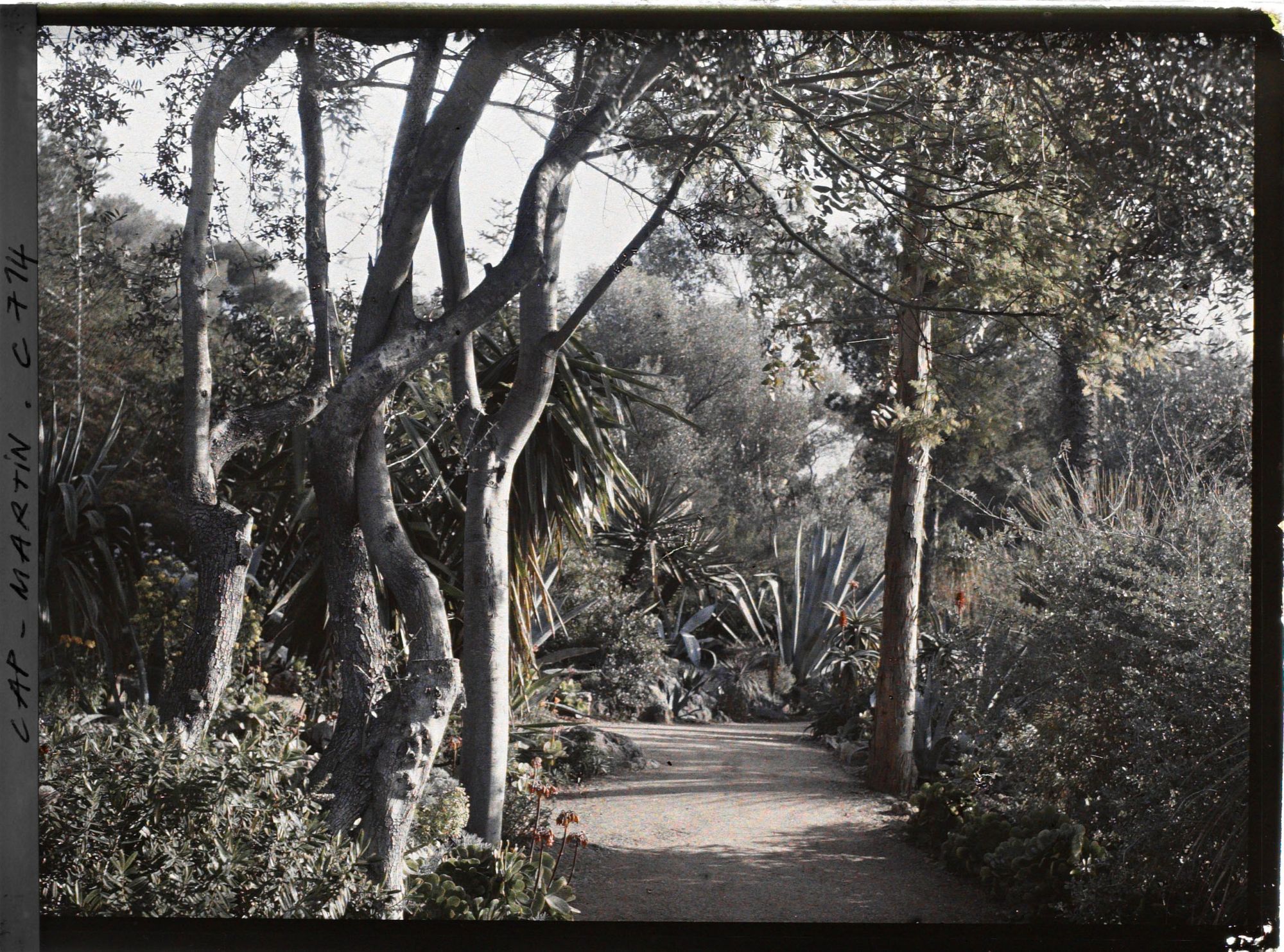 Image représentant Jardin divers