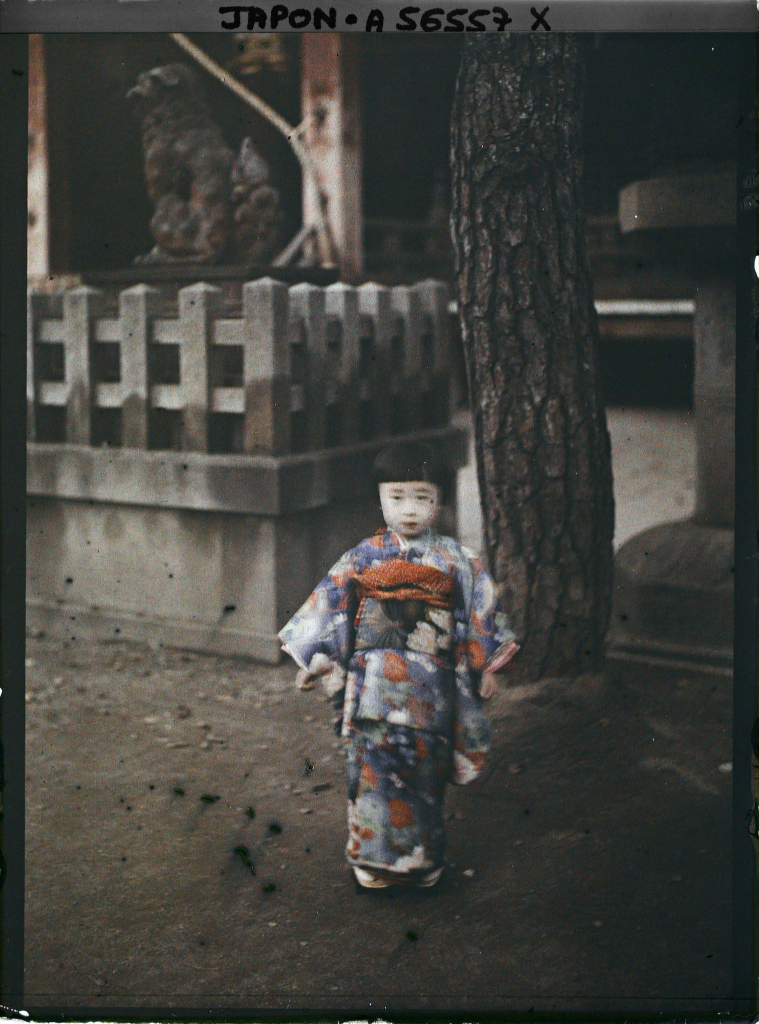 Image représentant Fête des enfants Shichi-go-san (" sept-cinq-trois ") au sanctuaire Yasaka-jinja