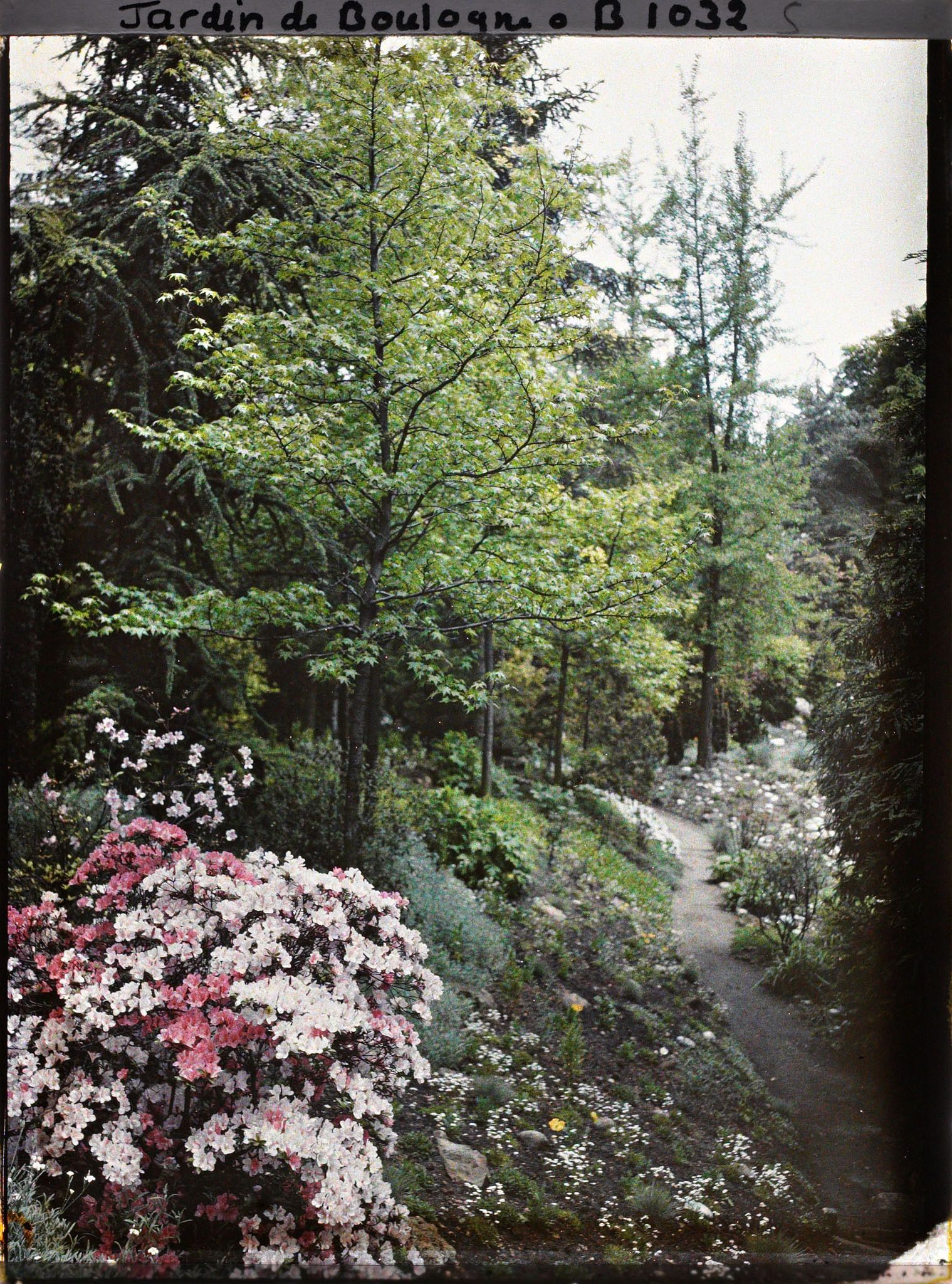 Image représentant Massif fleuri au bord d'un chemin du " jardin chinois " menant au sorinto du " sanctuaire japonais