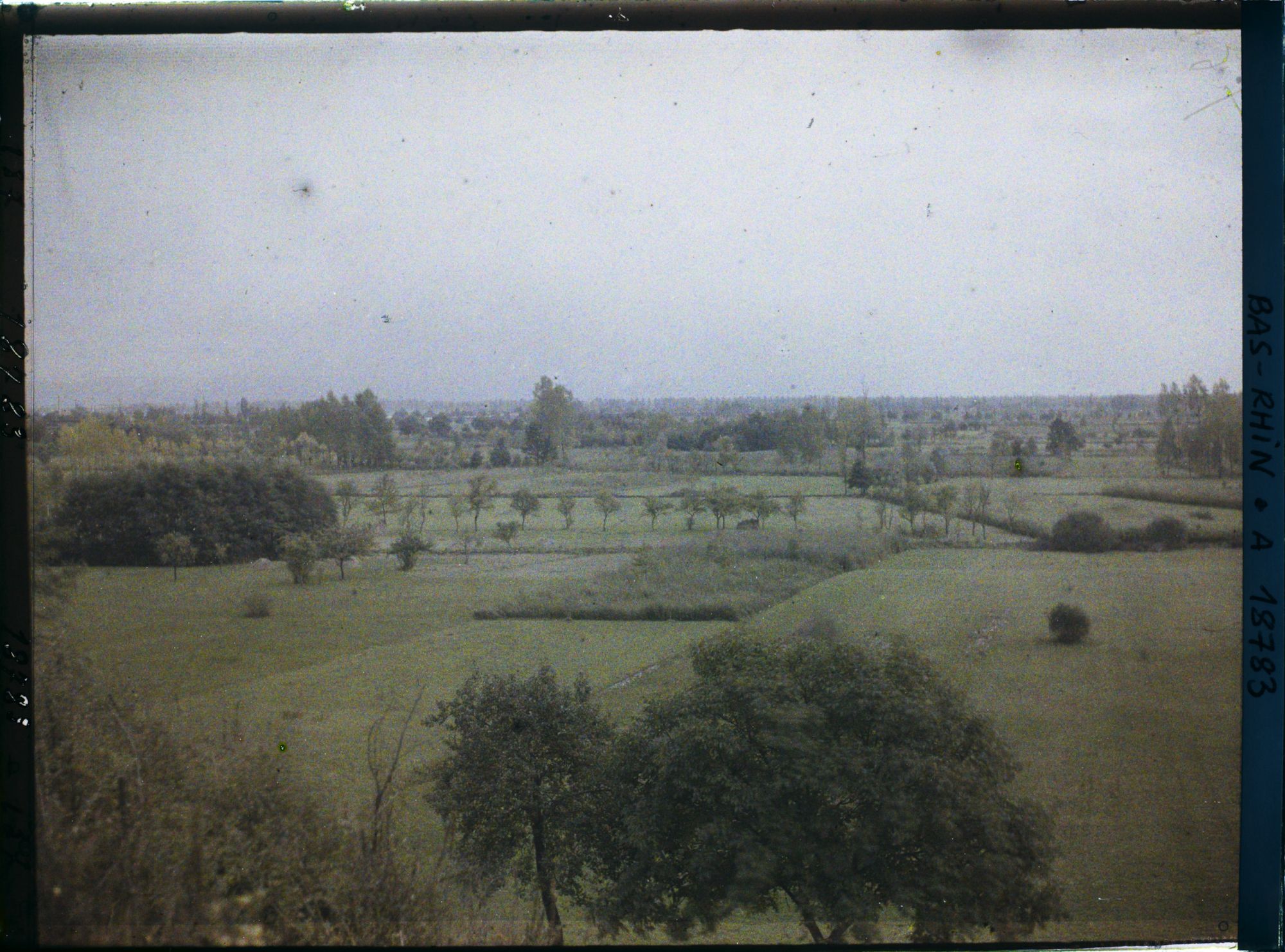 Image représentant France, Scheibenhard Env. de Lauterbourg, Près de Lauterbourg, la plaine du Rhin