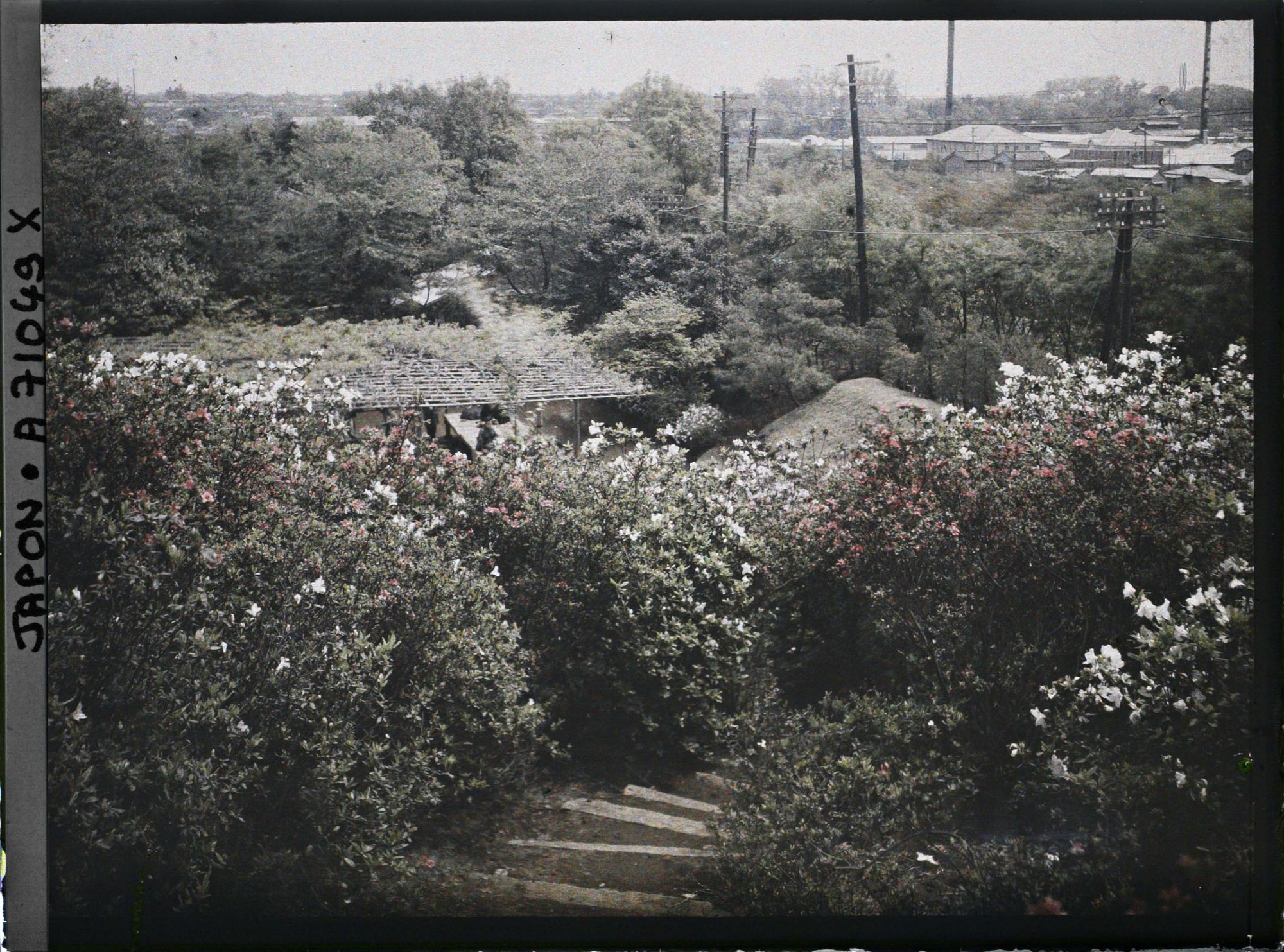 Image représentant Parc