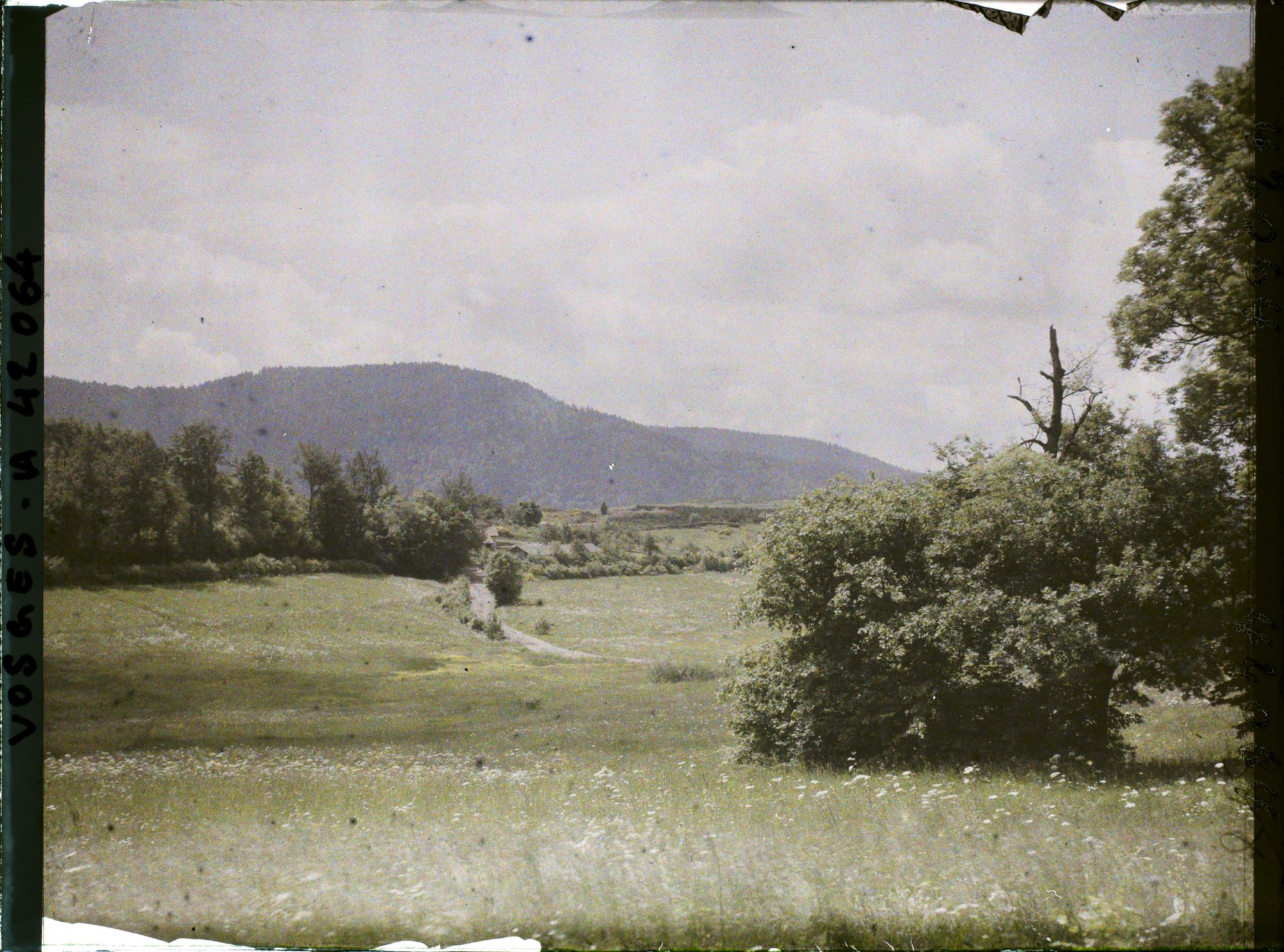 Image représentant France, Le Ban de Sapt Launois, Une Vue de la Contrée