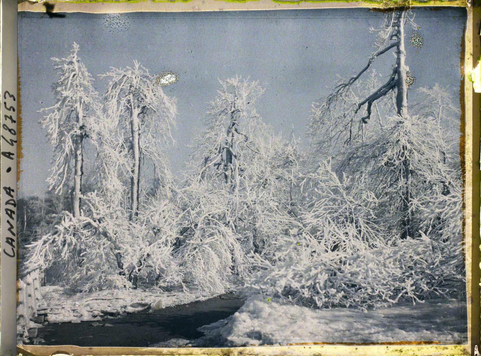 Image représentant Canada, Montréal, Arbres couverts de Givre U.S.A.