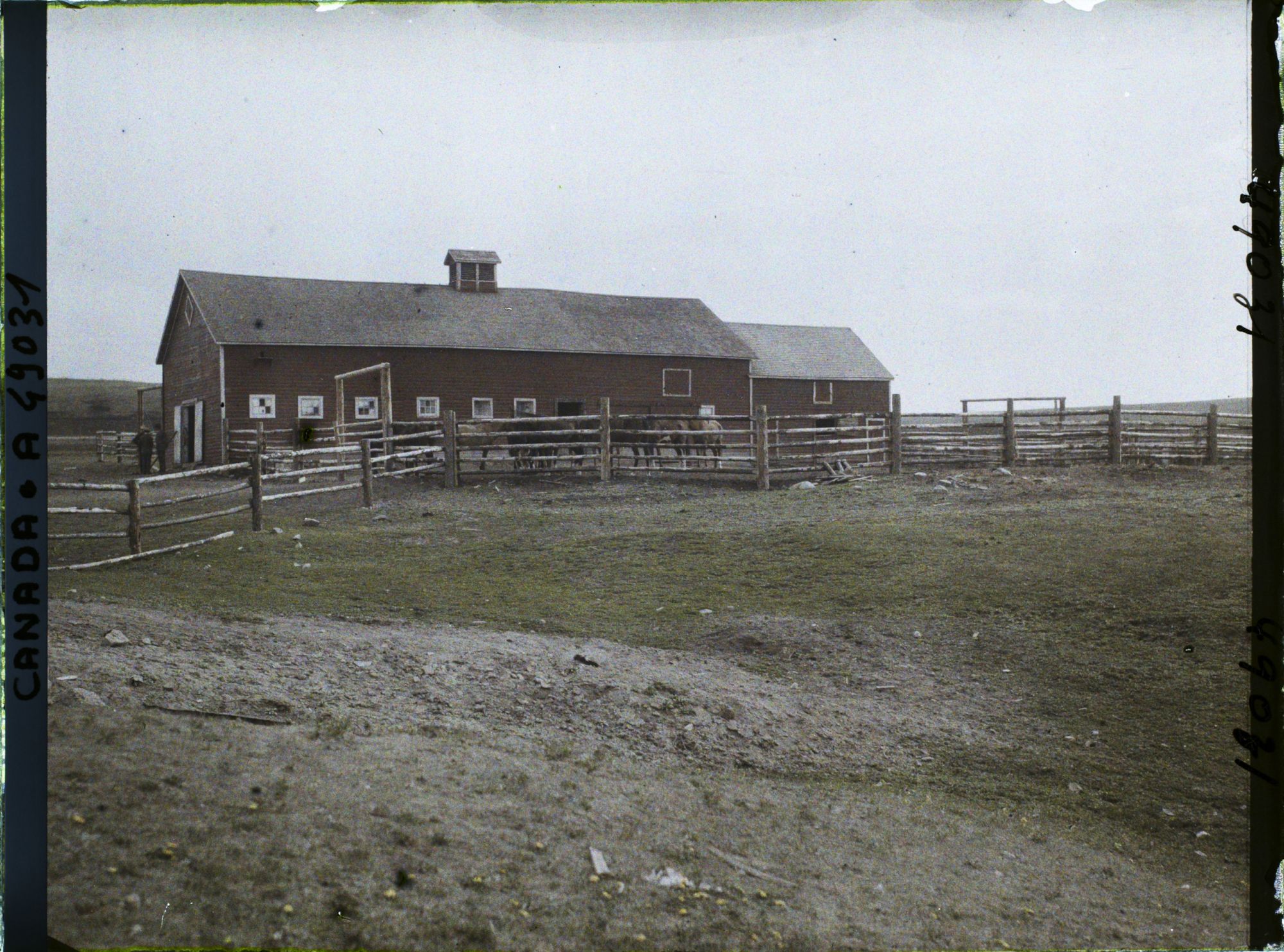 Image représentant Canada, Rocky Ranch, Ecurie du ranch John Hazza