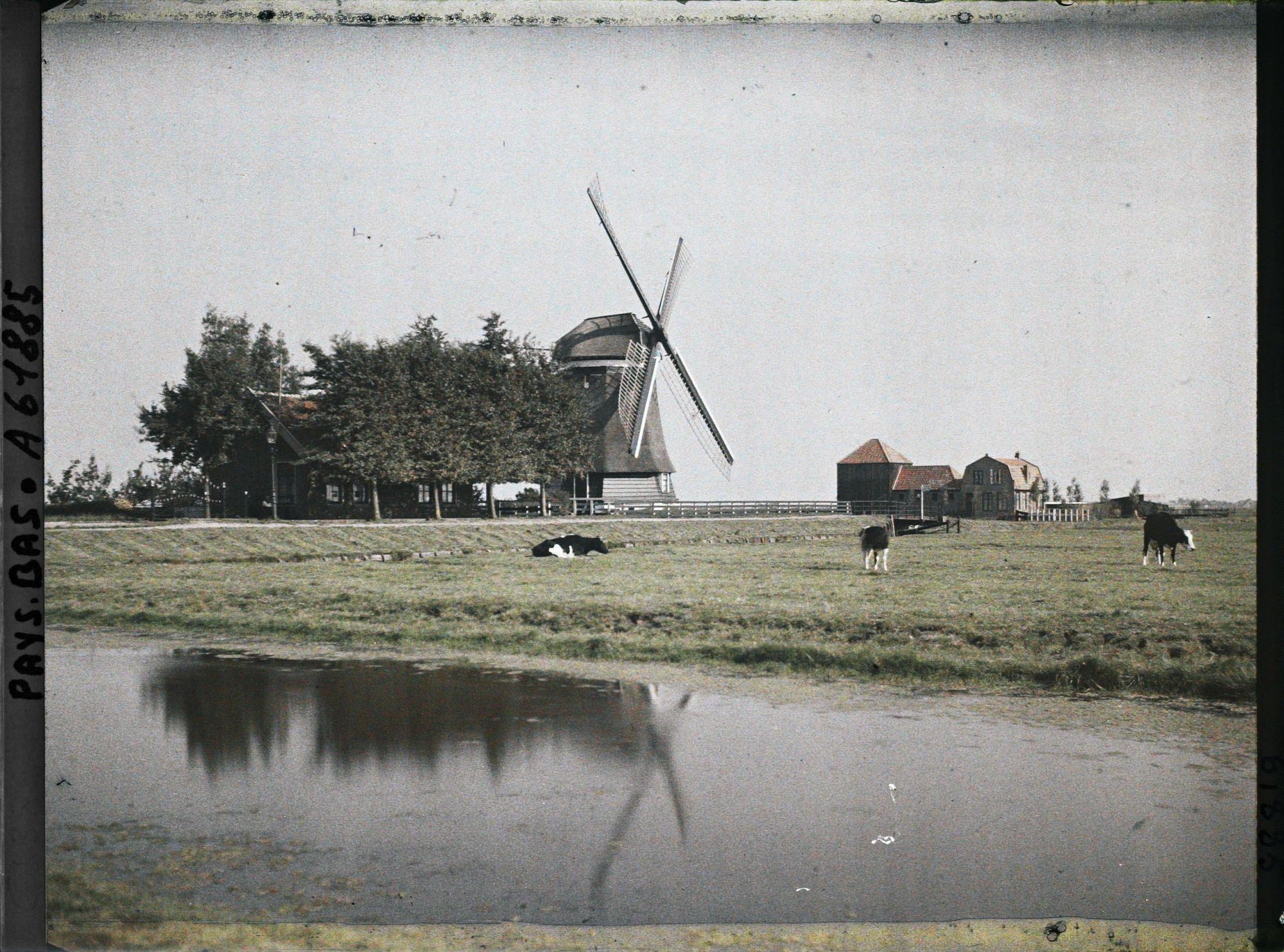 Image représentant Ferme et moulin à vent dans un polder