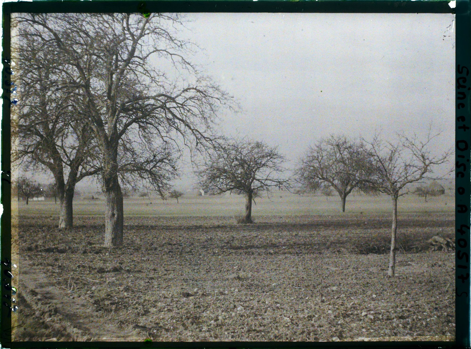 Image représentant France, Les Clayes, Champ et Pommiers