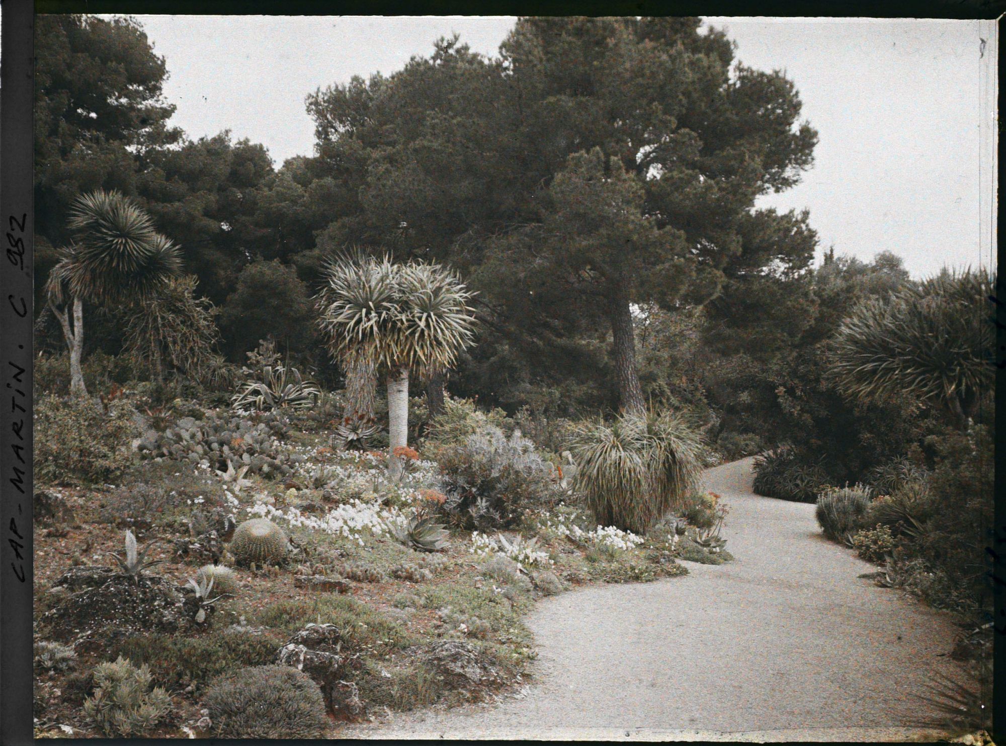 Image représentant Le Jardin