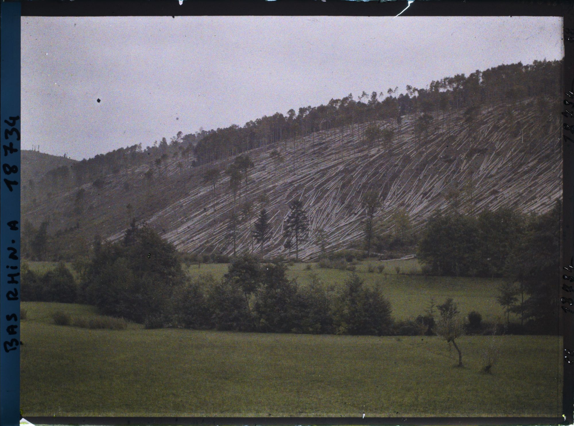 Image représentant France, Le Défrichement (environs d'Andlau)