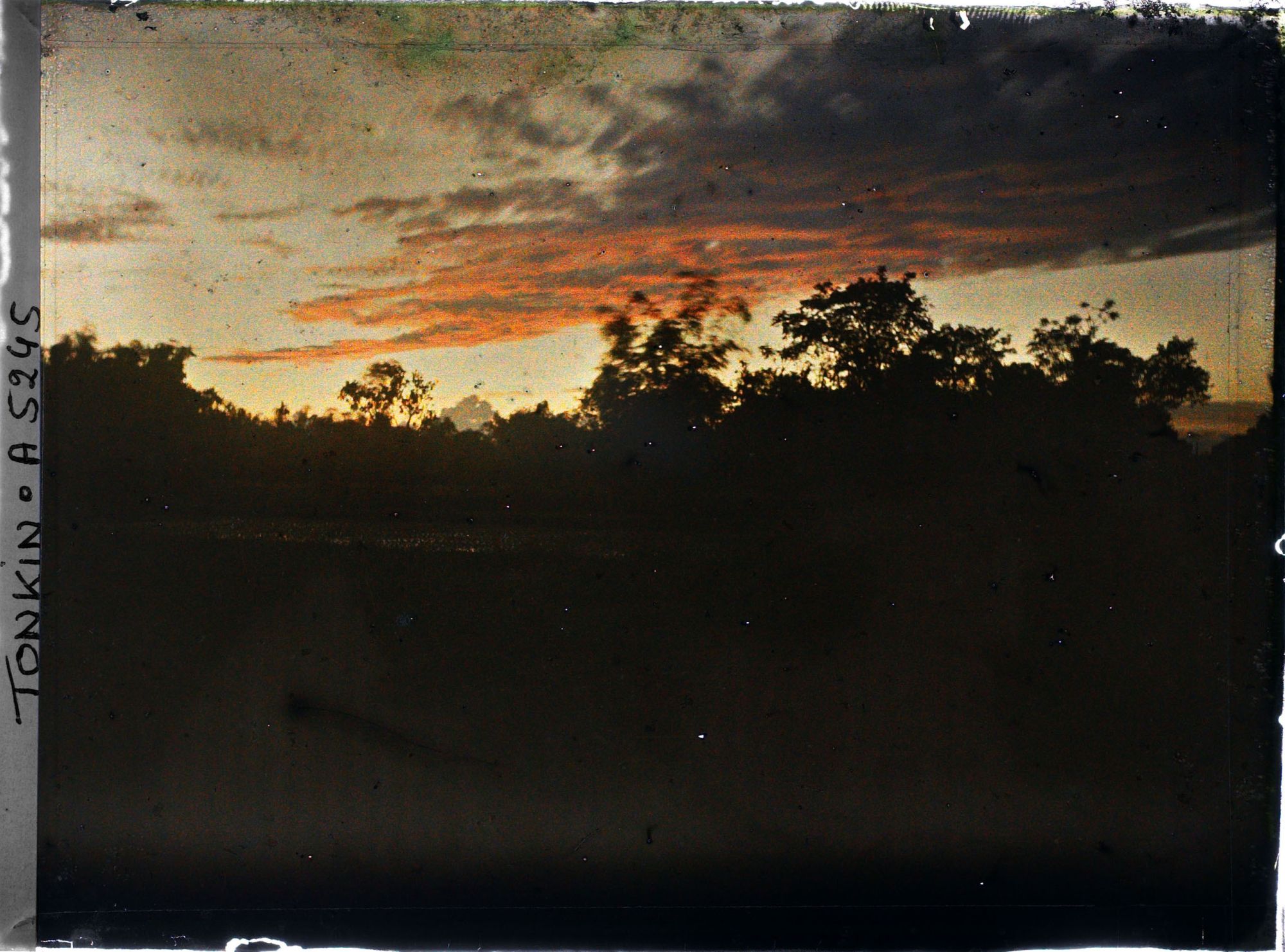 Image représentant Un coucher de soleil sur les rizières