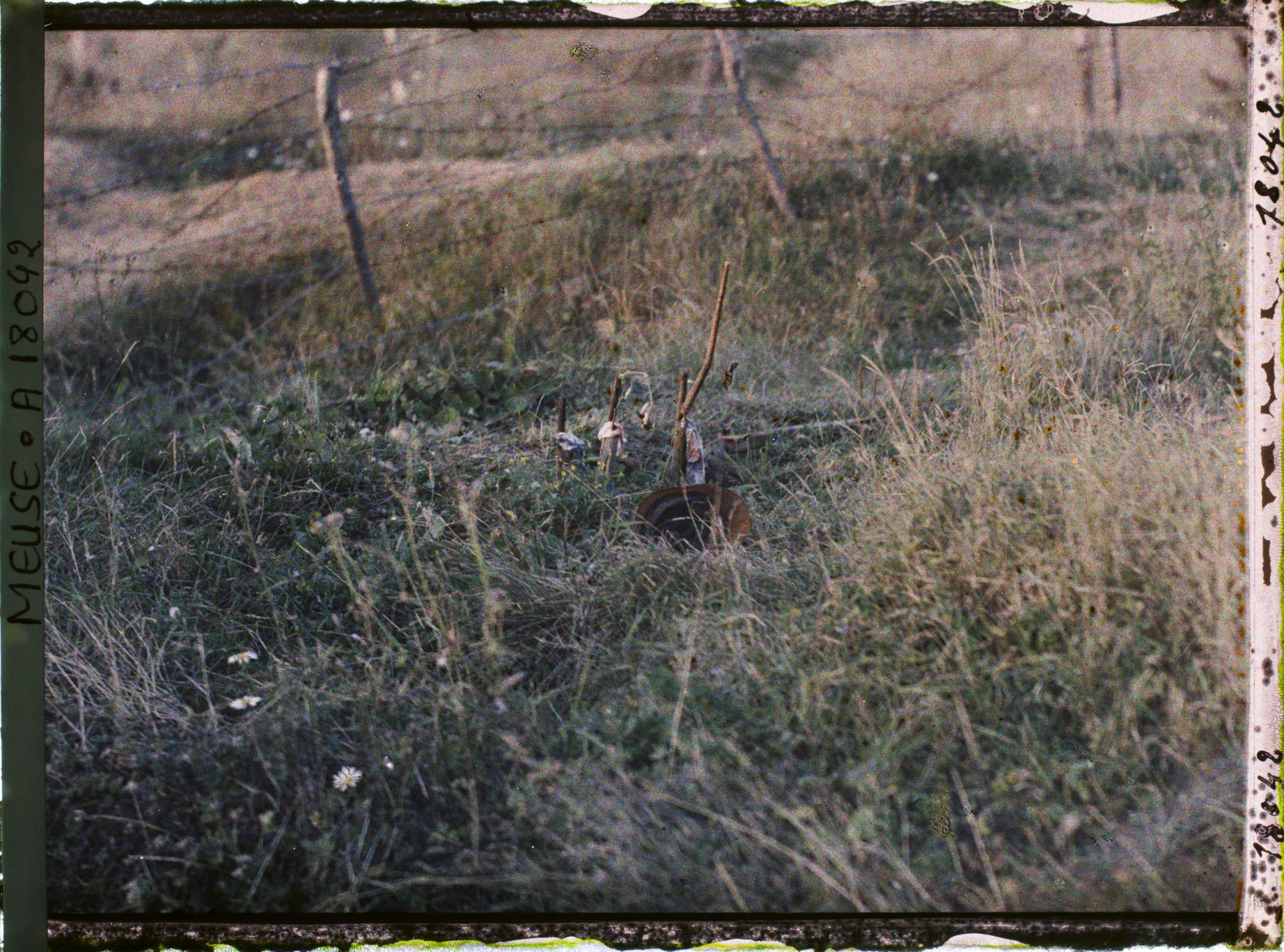 Image représentant France, Thiaumont, Tranchée de Thiaumont les fusils sortant de terre avaient été attachés par des étoffes tricolores