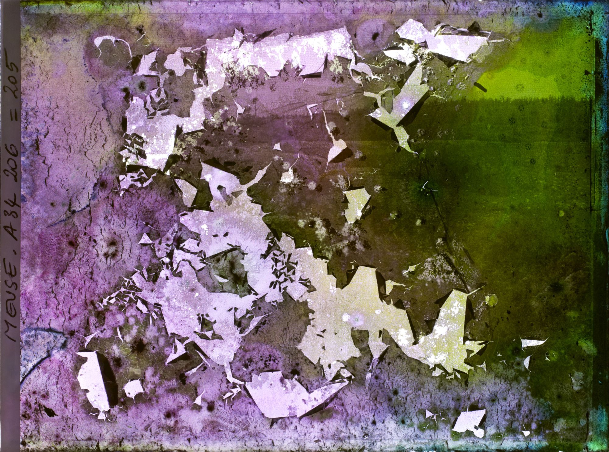 Image représentant France, La Tête à Vache, Vestiges de tranchée à la Tête à Vache