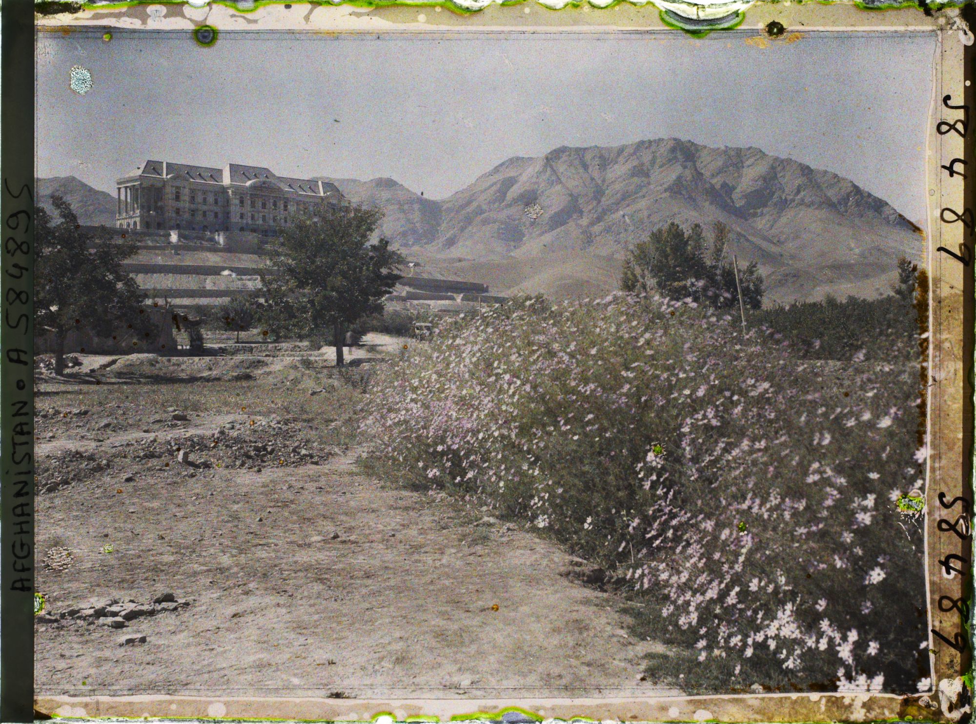 Image représentant Le nouveau Palais royal (Taj Beg), façade nord