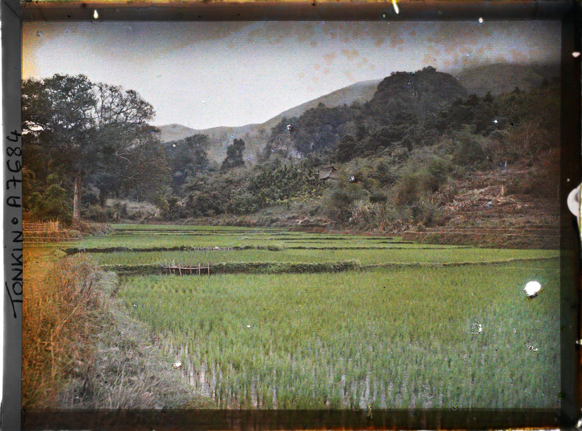 Image représentant Une rizière au pied des rochers, sur lesquels on distingue une case Mnong