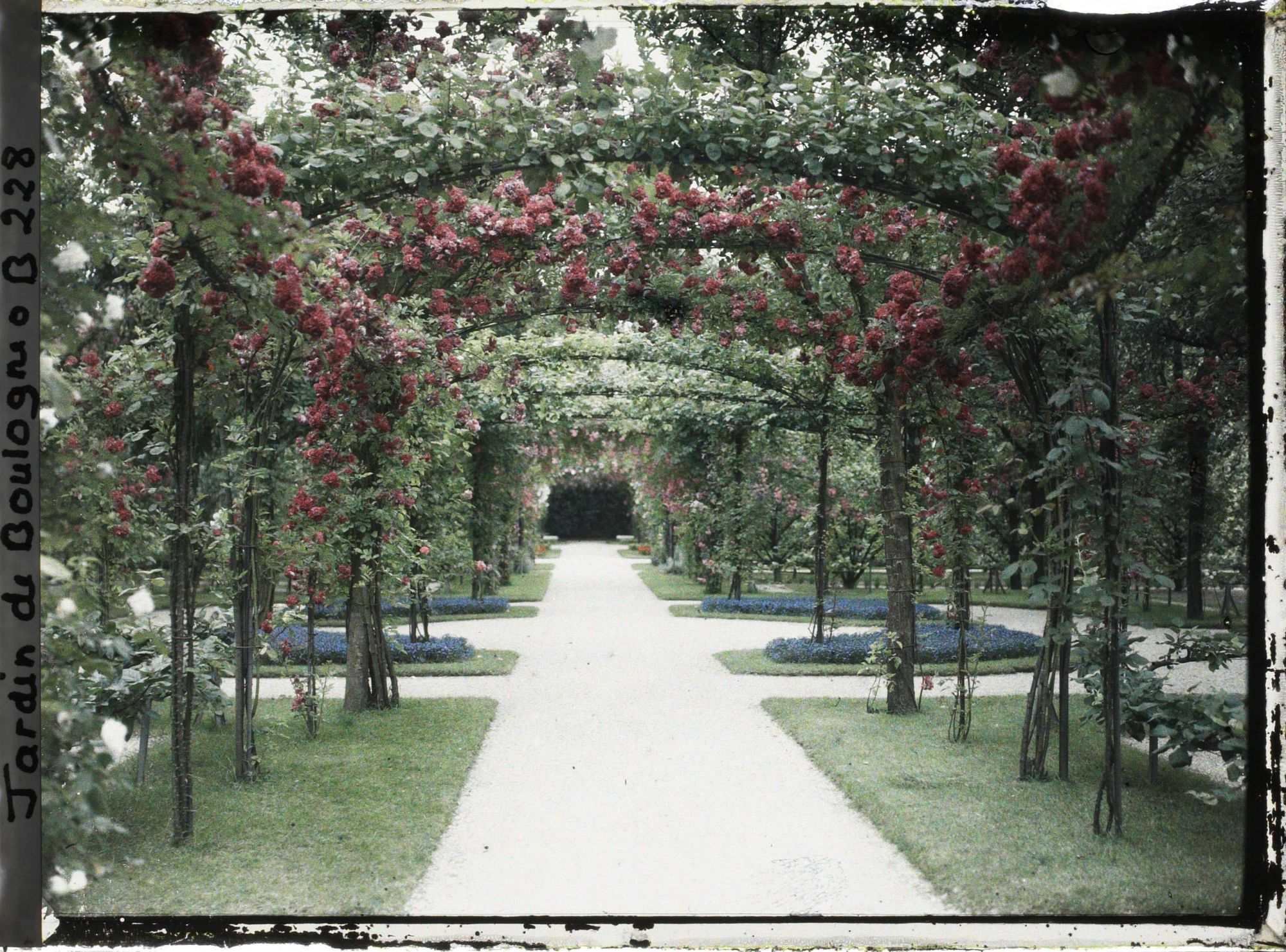 Image représentant Axe central du verger-roseraie vu en direction de la dépendance, à proximité du jardin français