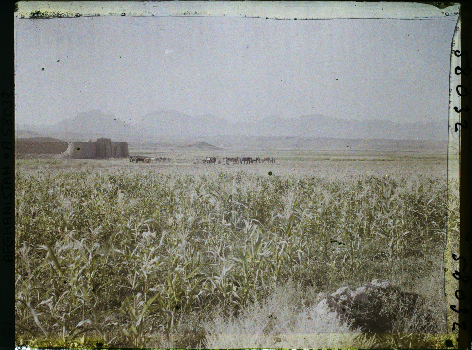 Image représentant Vue vers Le caravansérail