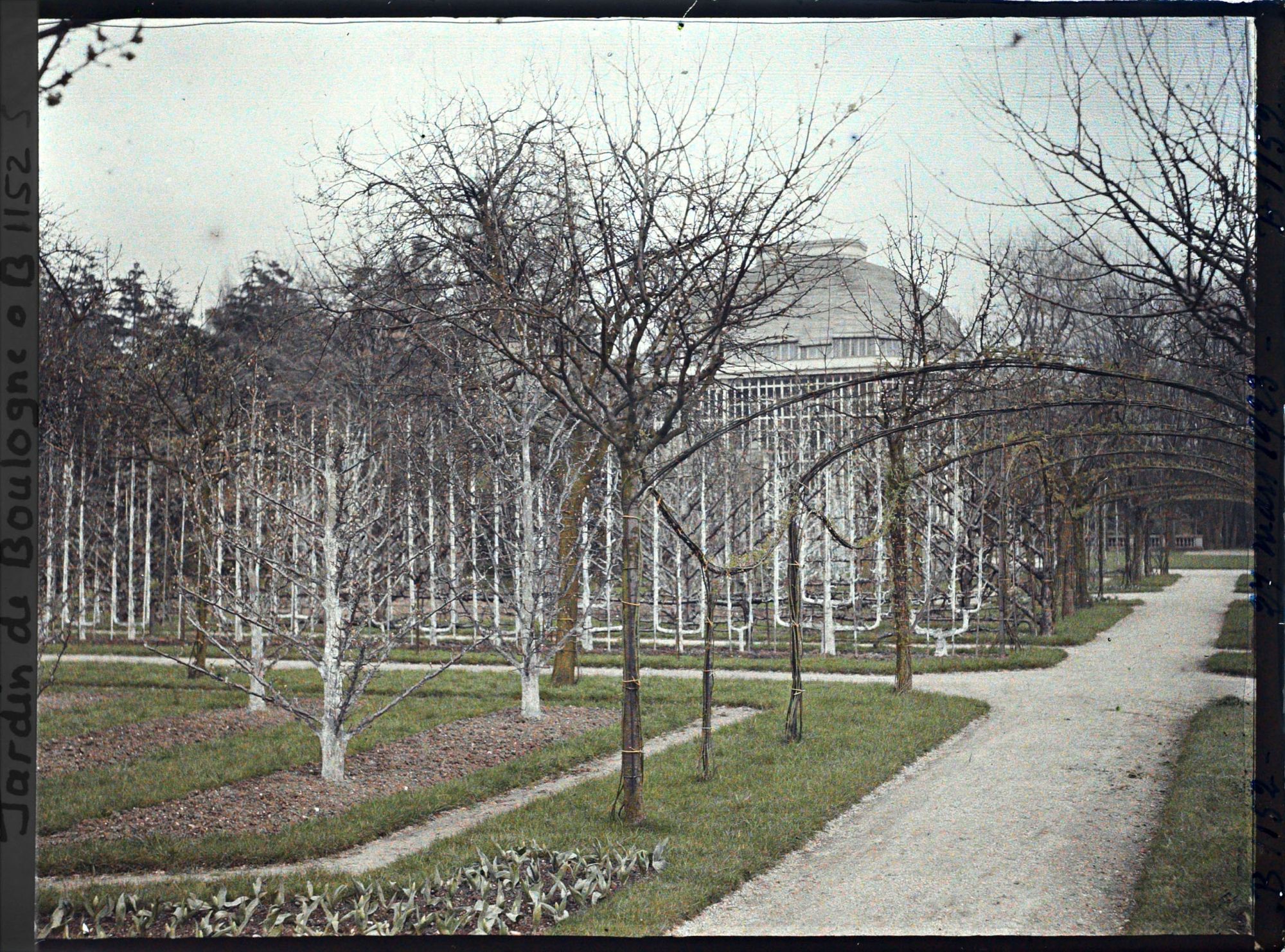 Image représentant Axe central et partie nord-ouest du verger-roseraie, vus depuis le rond-point, côté dépendance