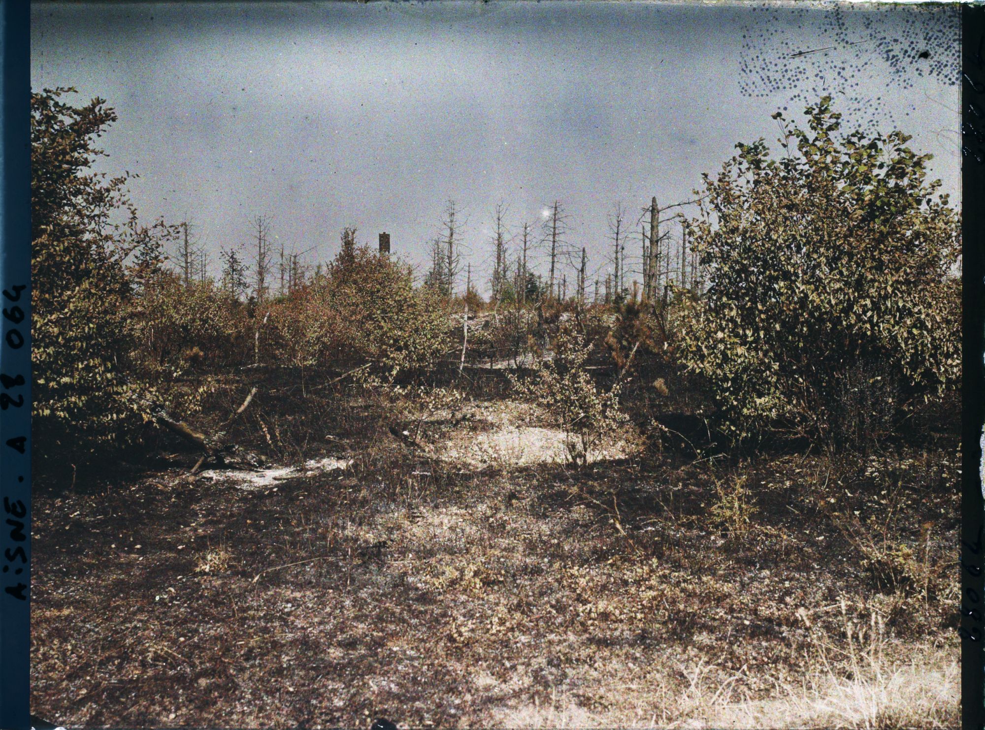 Image représentant France, Beaurieux, Incendie occasionné par la Sécheresse s/ l'emplacement du, P. C. Eden