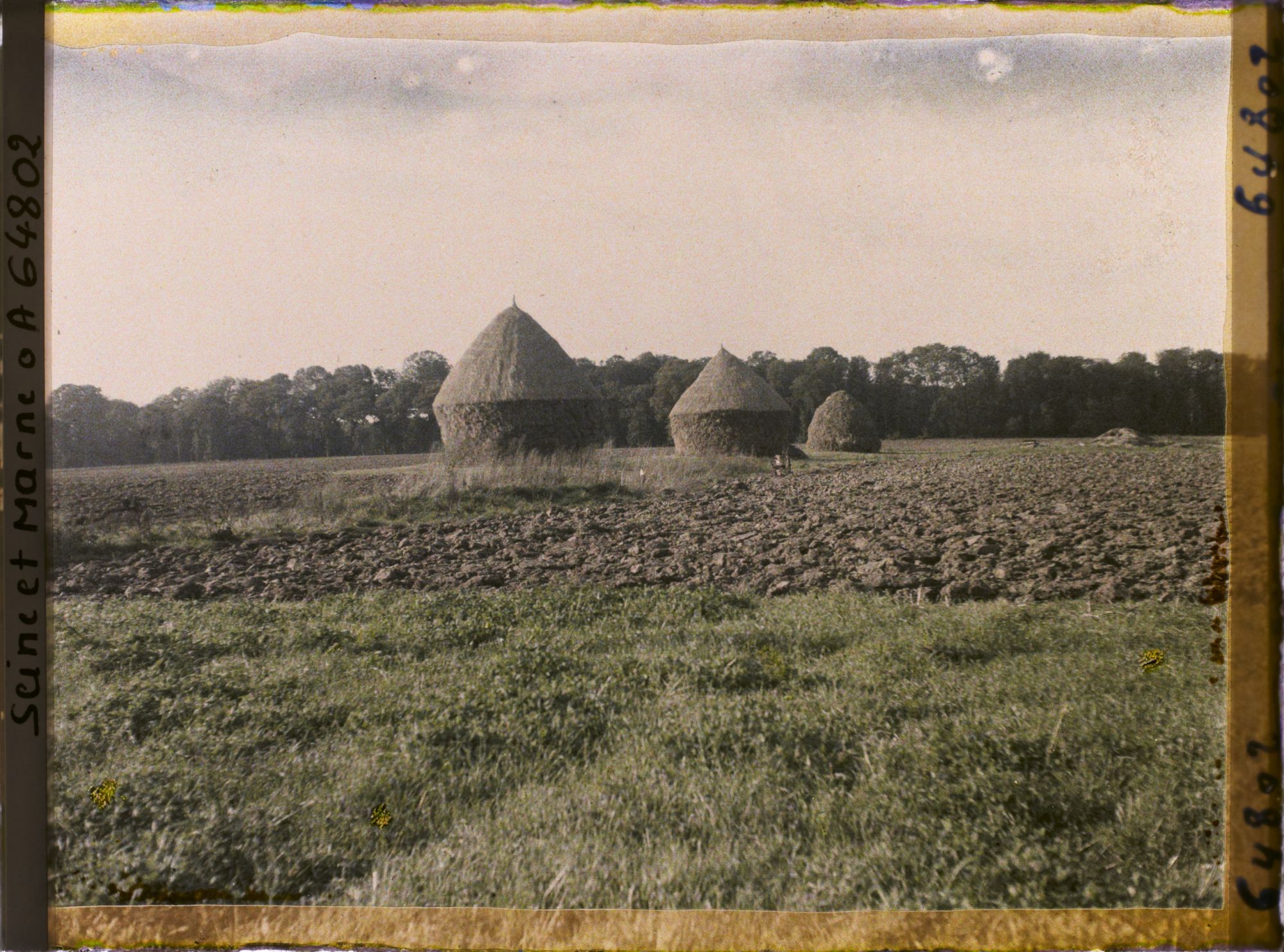 Image représentant Seine et Marne, Guermantes, Labour et meules de blé