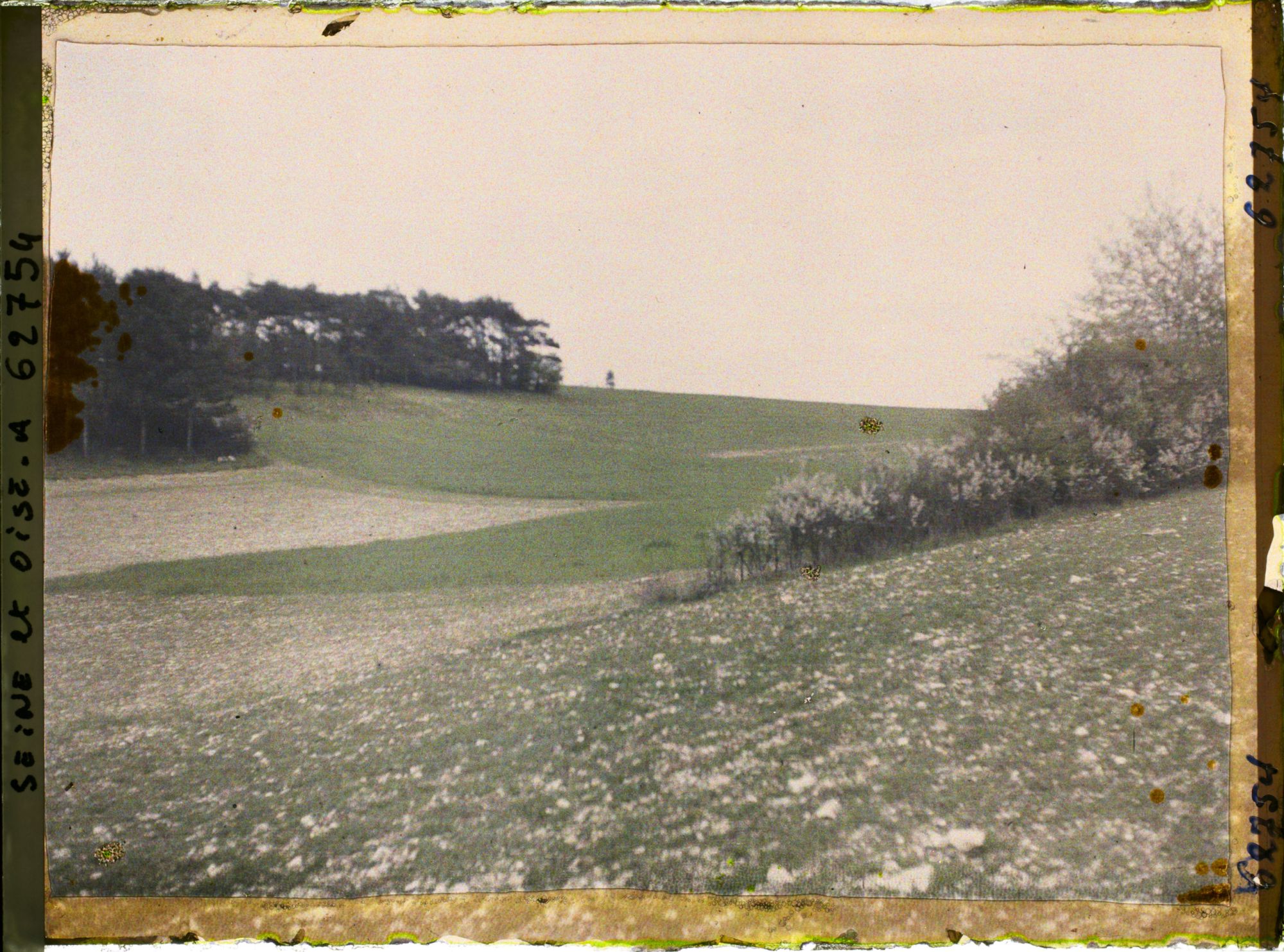 Image représentant Ile de France, Vallangoujard, Blé et seigle