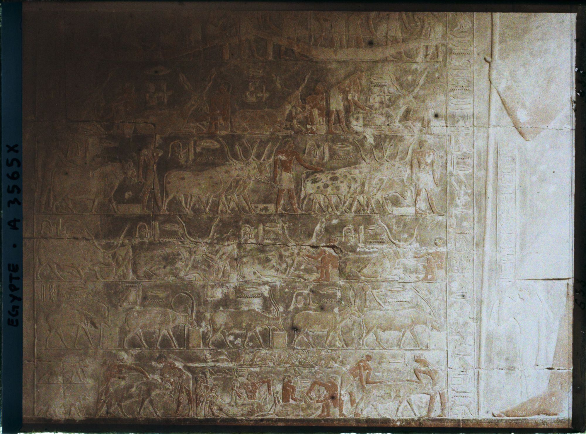 Image représentant Bas-reliefs se trouvant dans le tombeau de Mérytéti ou dans celui de Mérérouka (son père)