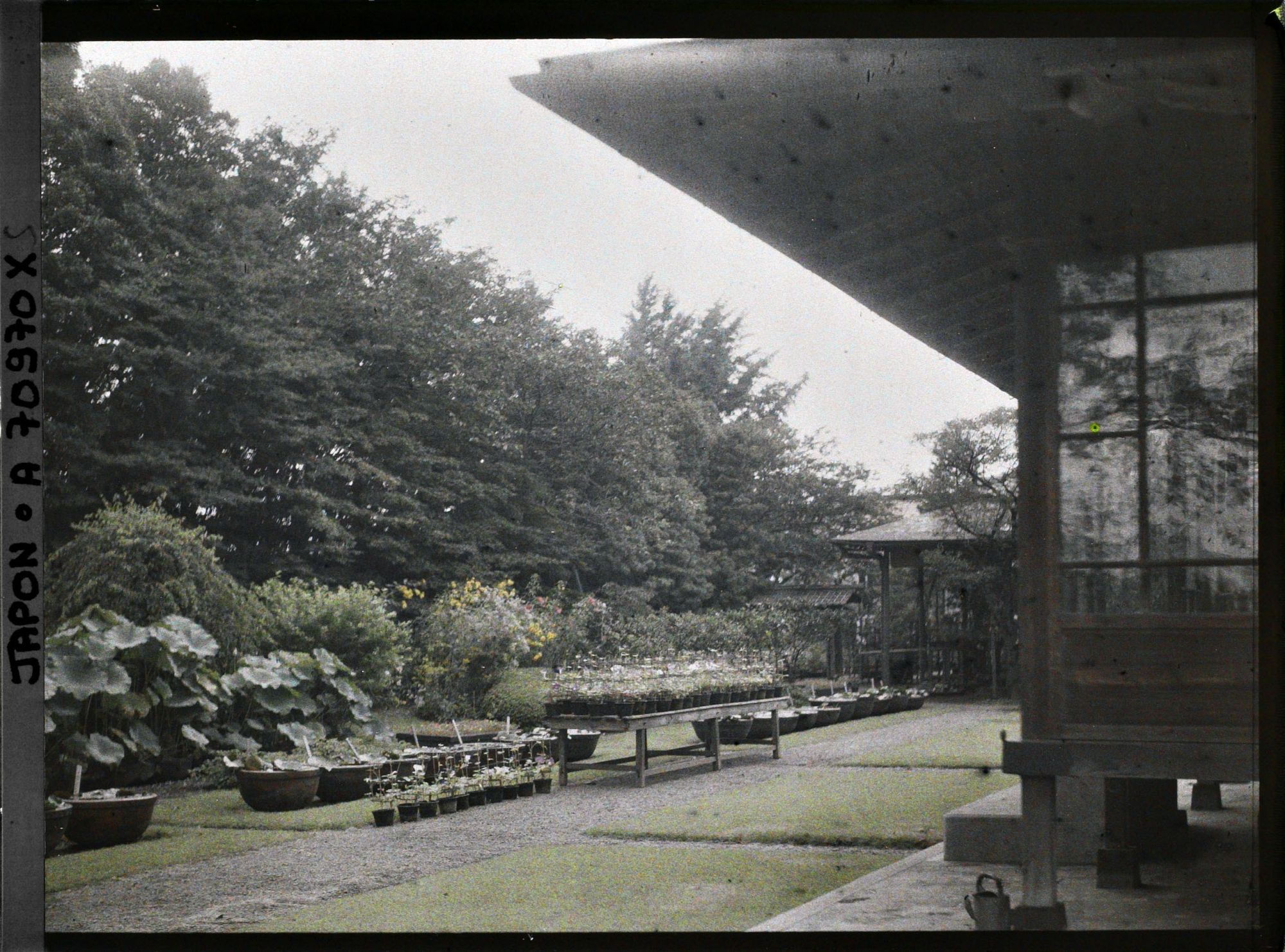 Image représentant Résidence Kitashirakawa (?) ou pépinière (?)