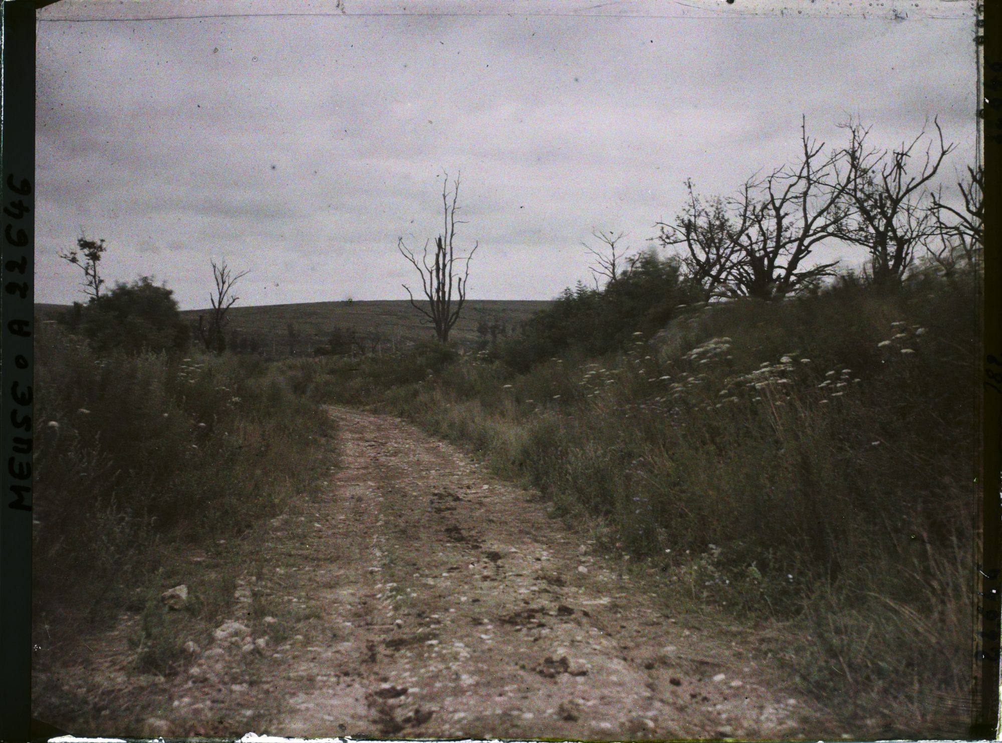 Image représentant France, Regneville, L'ancienne grande rue du Village