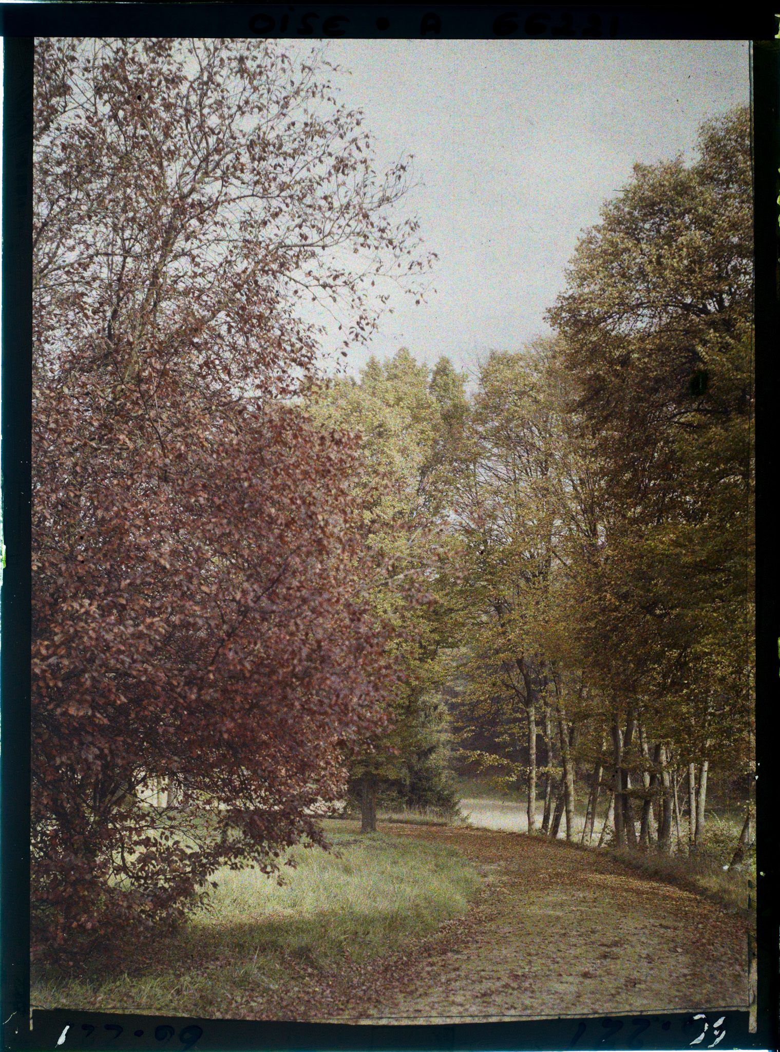Image représentant Allée du parc du château des Fontaines
