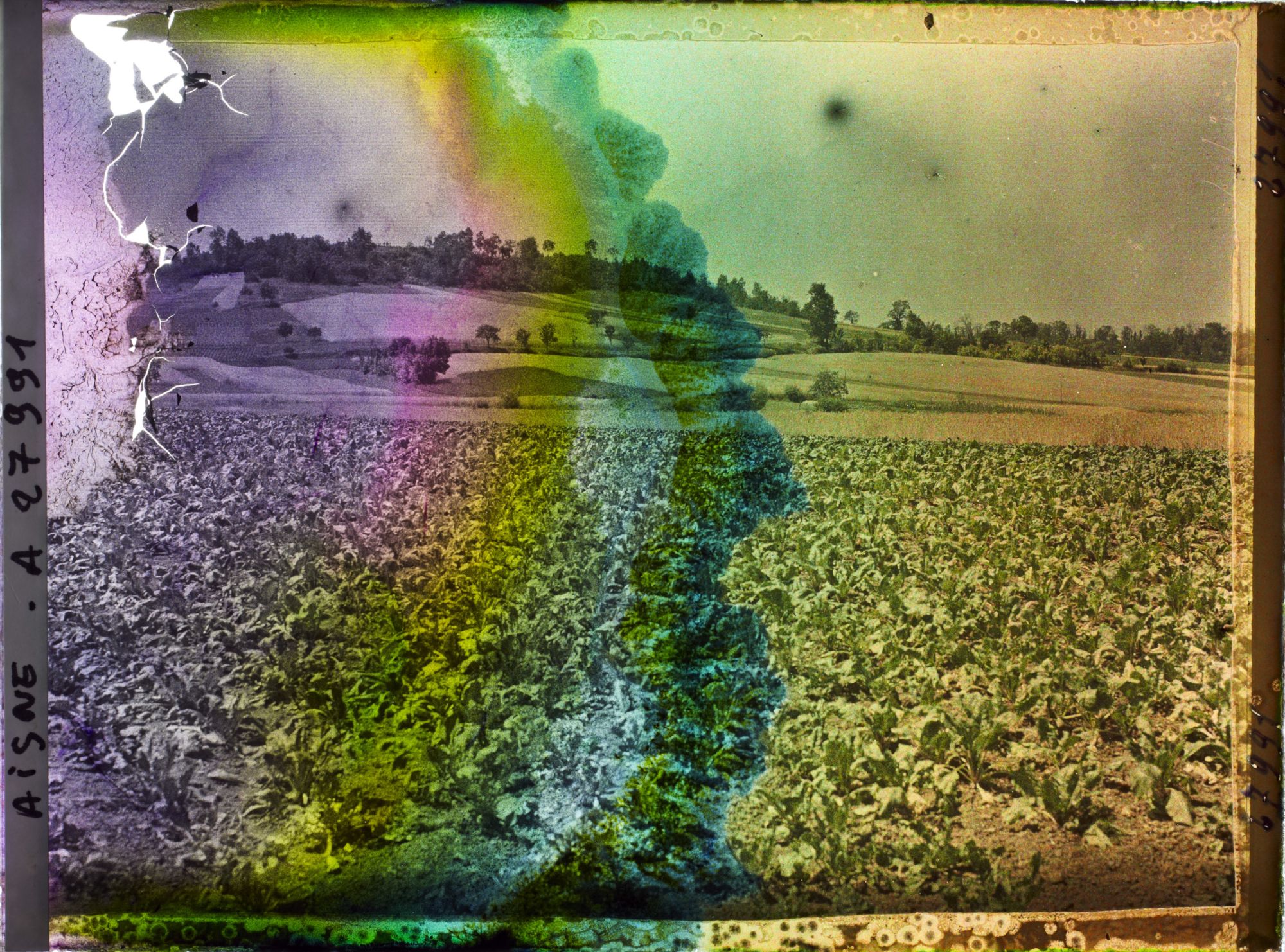 Image représentant France, Cery-Salsogne, Aspect de la Campagne vers les Coteaux de Céry