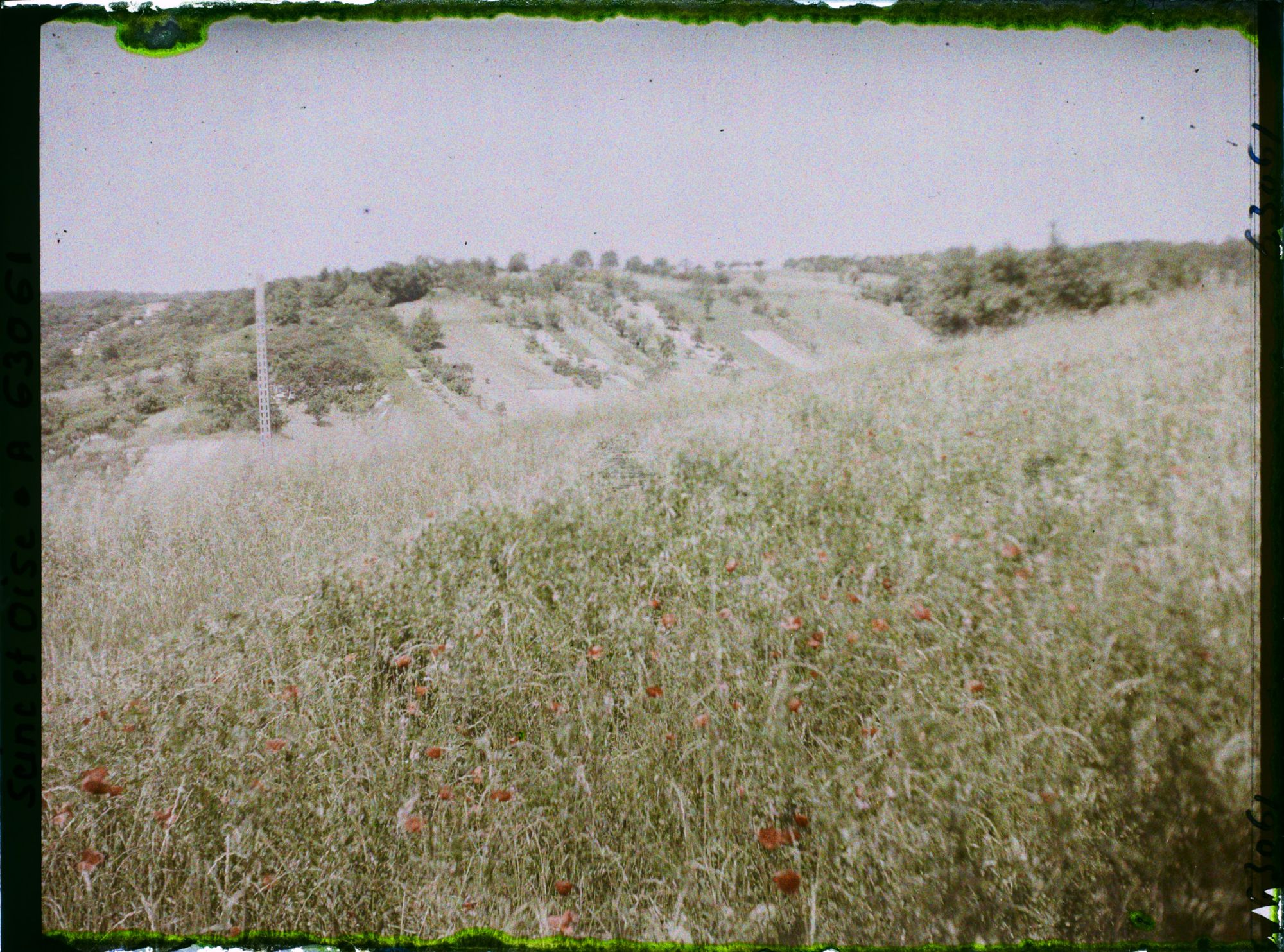 Image représentant Ile de France, Vaux, Blés et Coquelicots