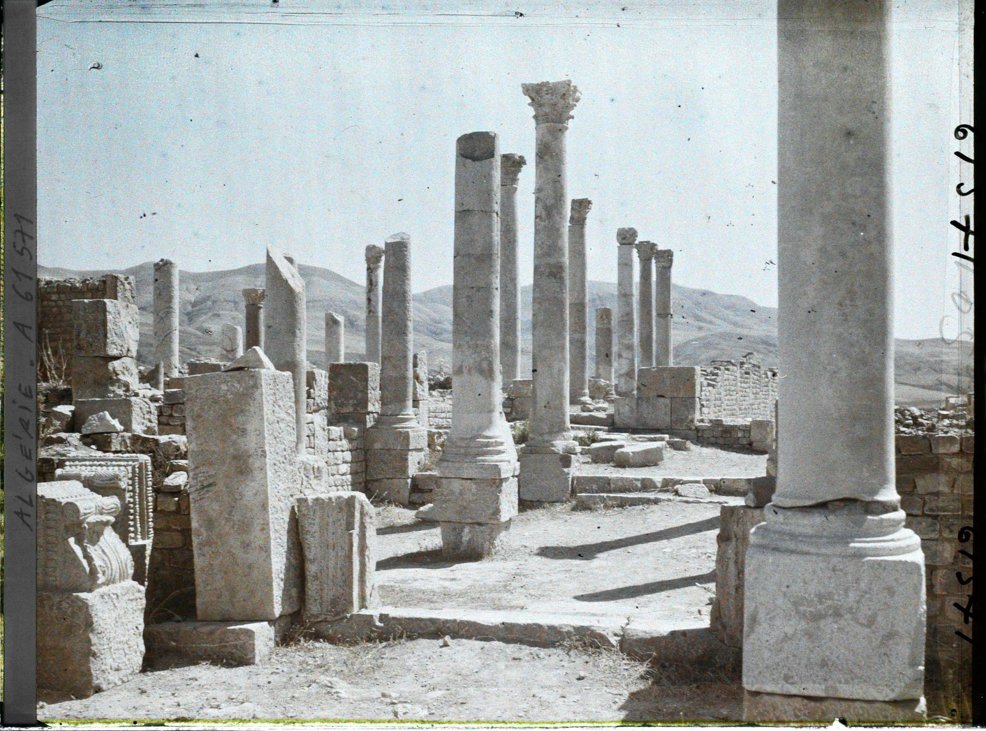 Image représentant Algérie, Djemila, Basilique Chrétienne primitive (IVe S.)