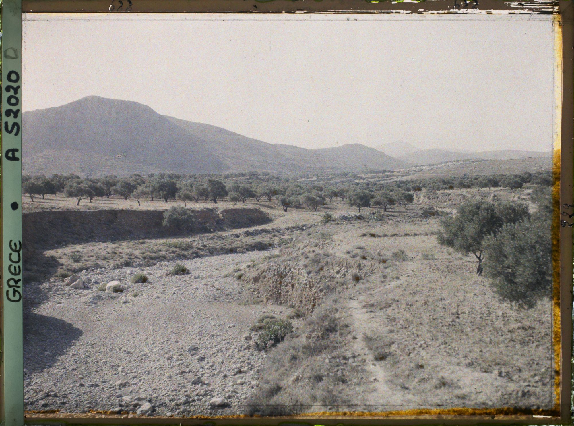 Image représentant Vallée de Gouves, entre Héraklion et Malia