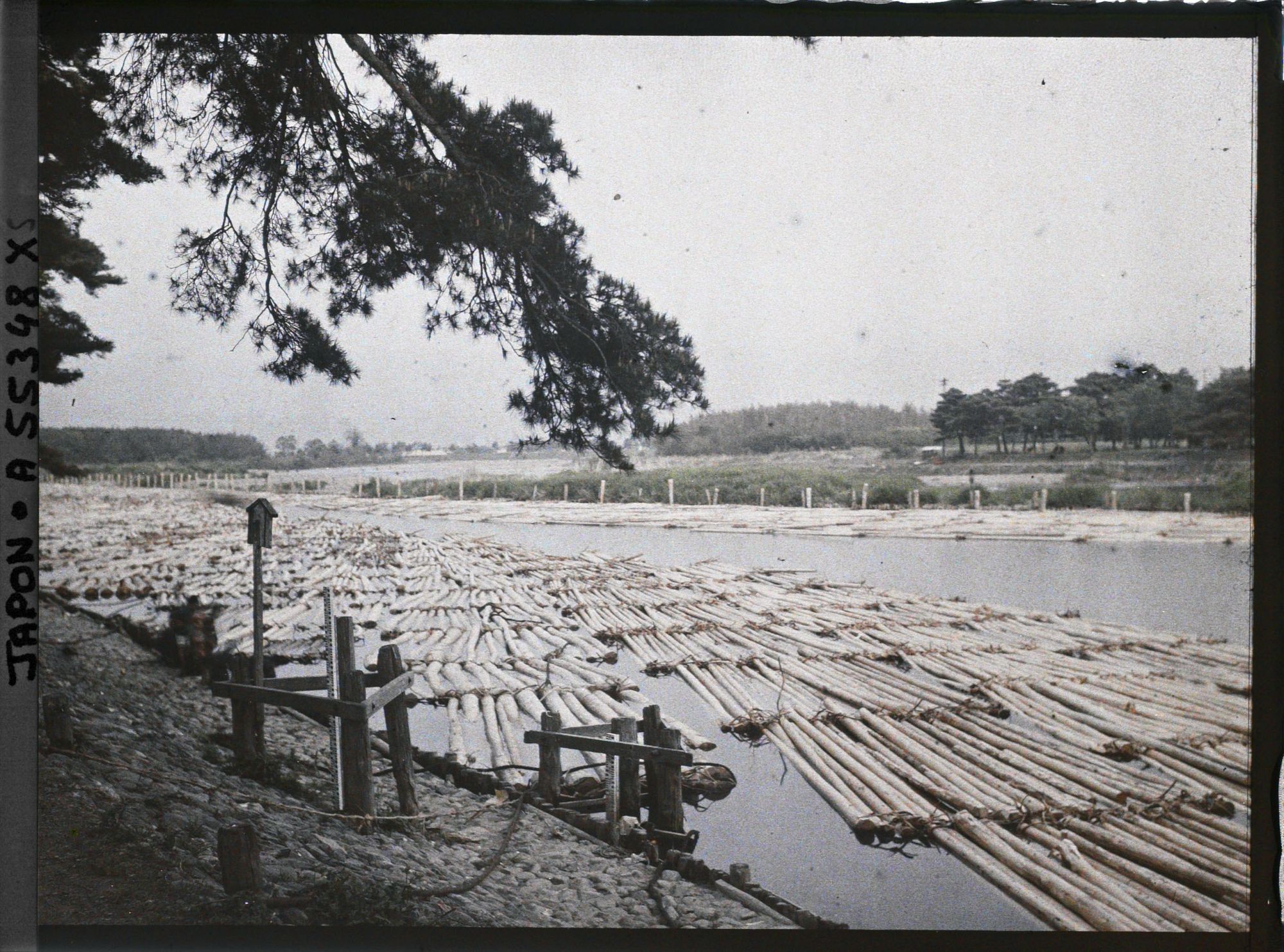 Image représentant Flottage sur la rivière Hozu