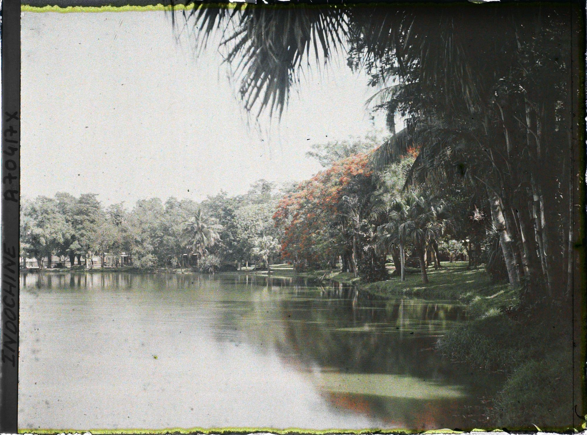 Image représentant Un lac au coeur d'un jardin botanique