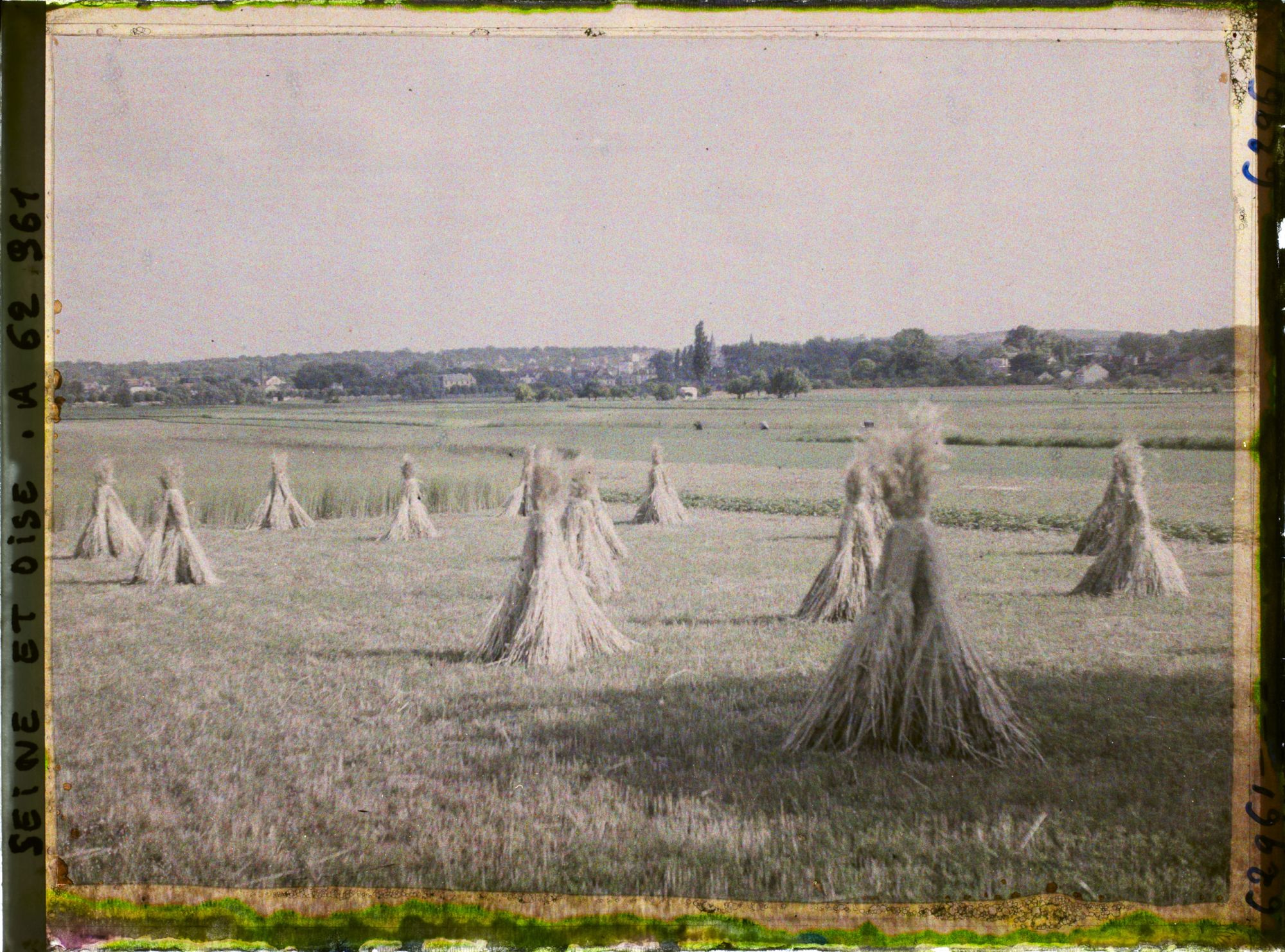 Image représentant Ile de France, Poissy, Seigle moissonné