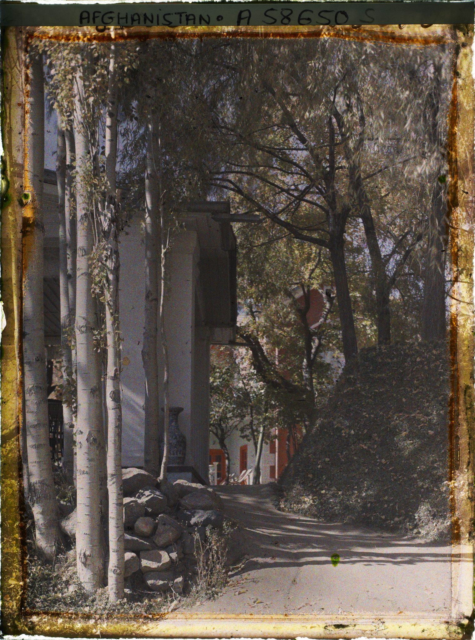 Image représentant Afghanistan, Paghman, Jardin du Palais du Roi - Allée dans le Jardin