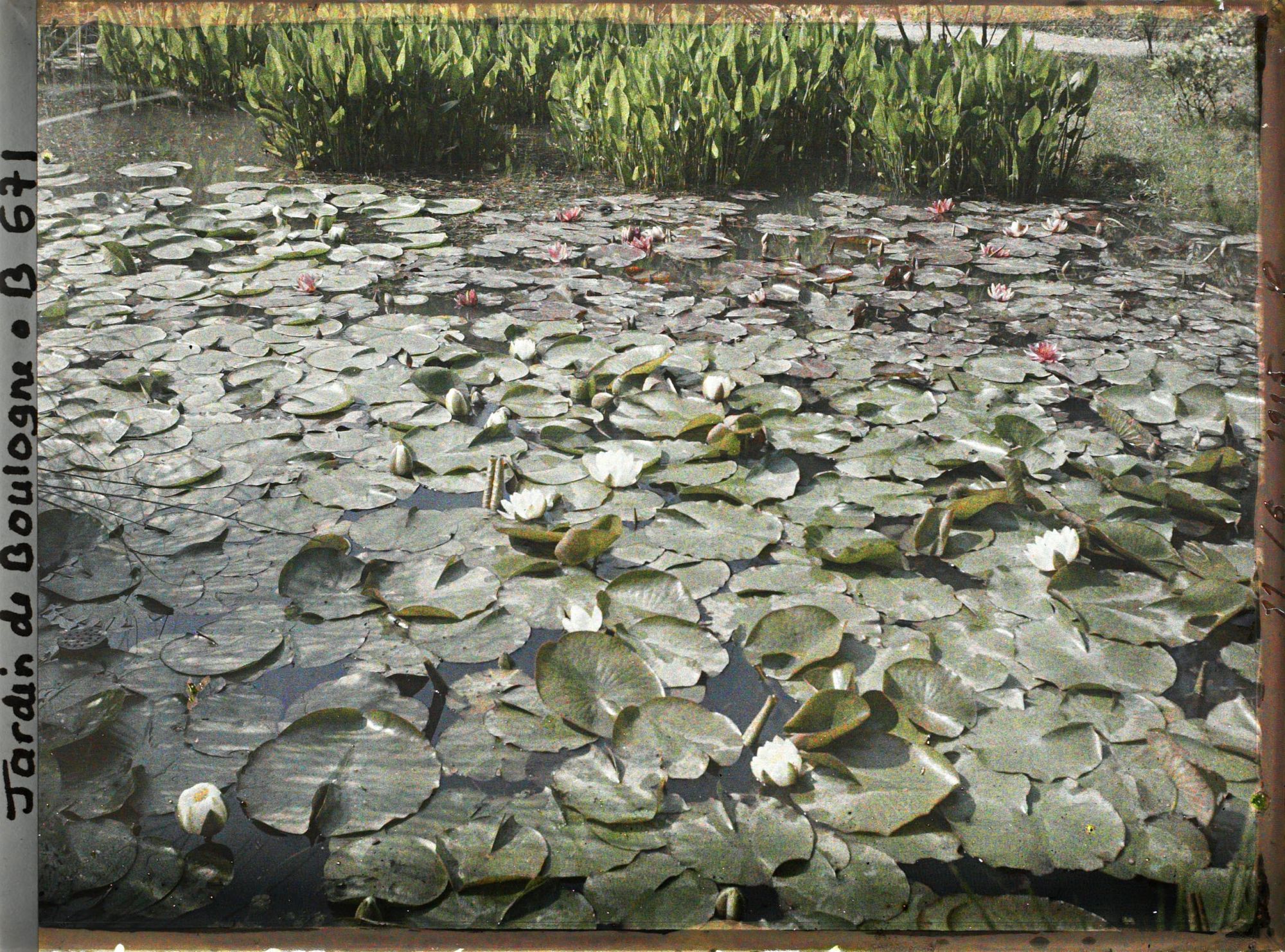 Image représentant jardins