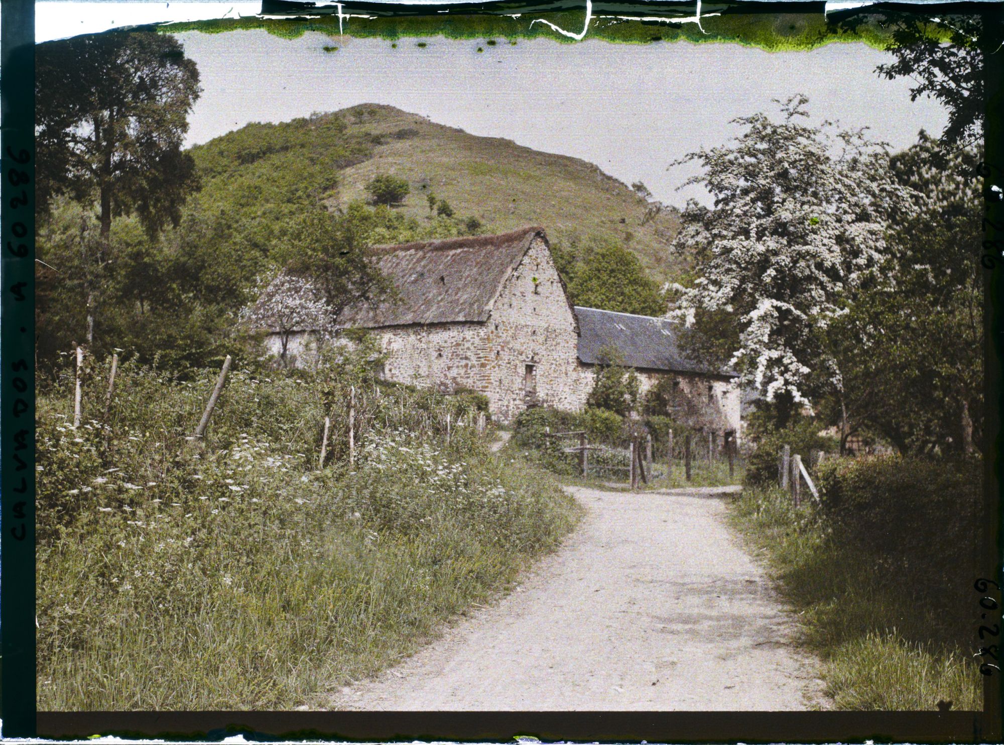 Image représentant Le Pain de Sucre