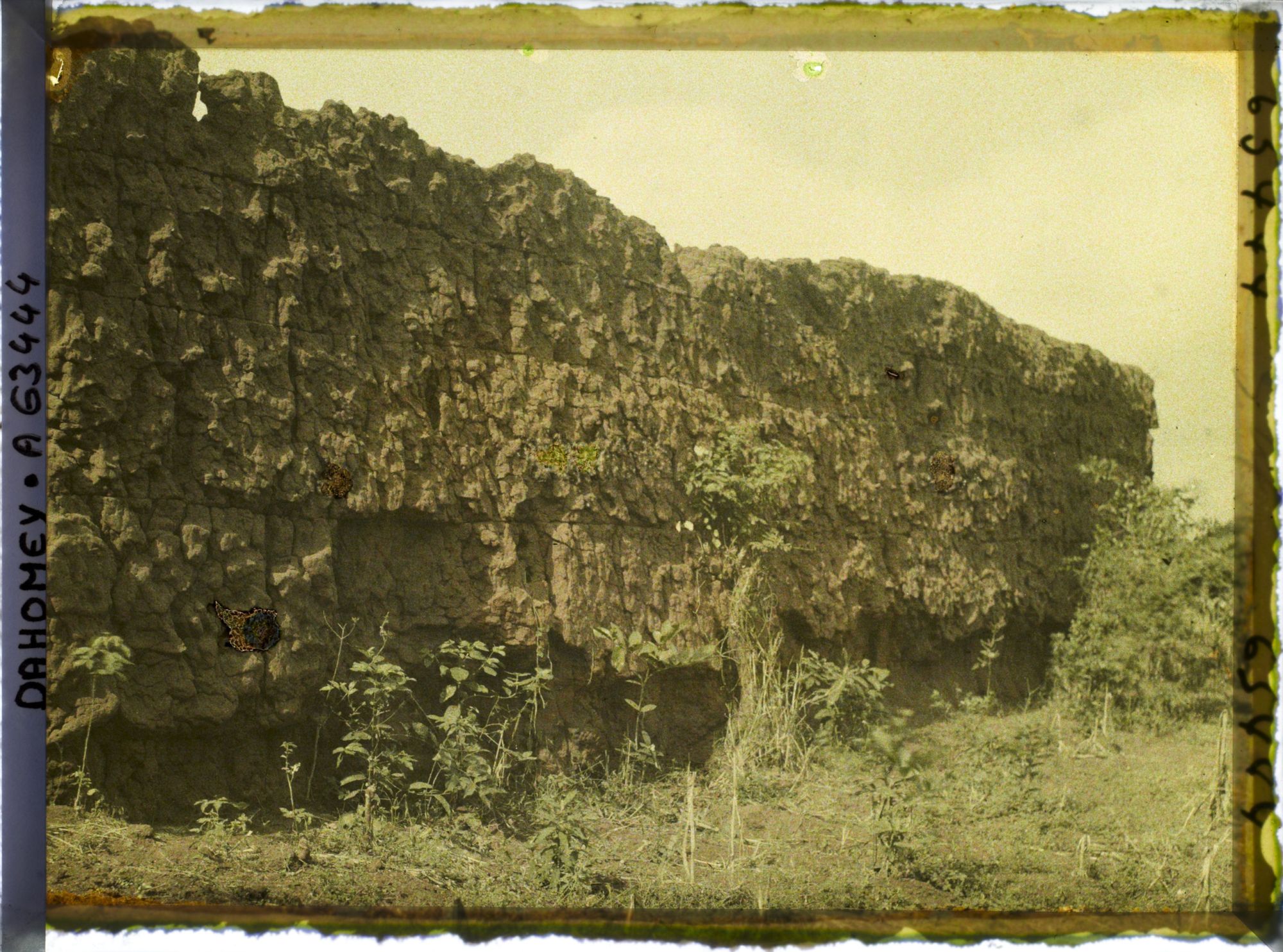 Image représentant Mur d'enceinte du jardin de  null Guézo