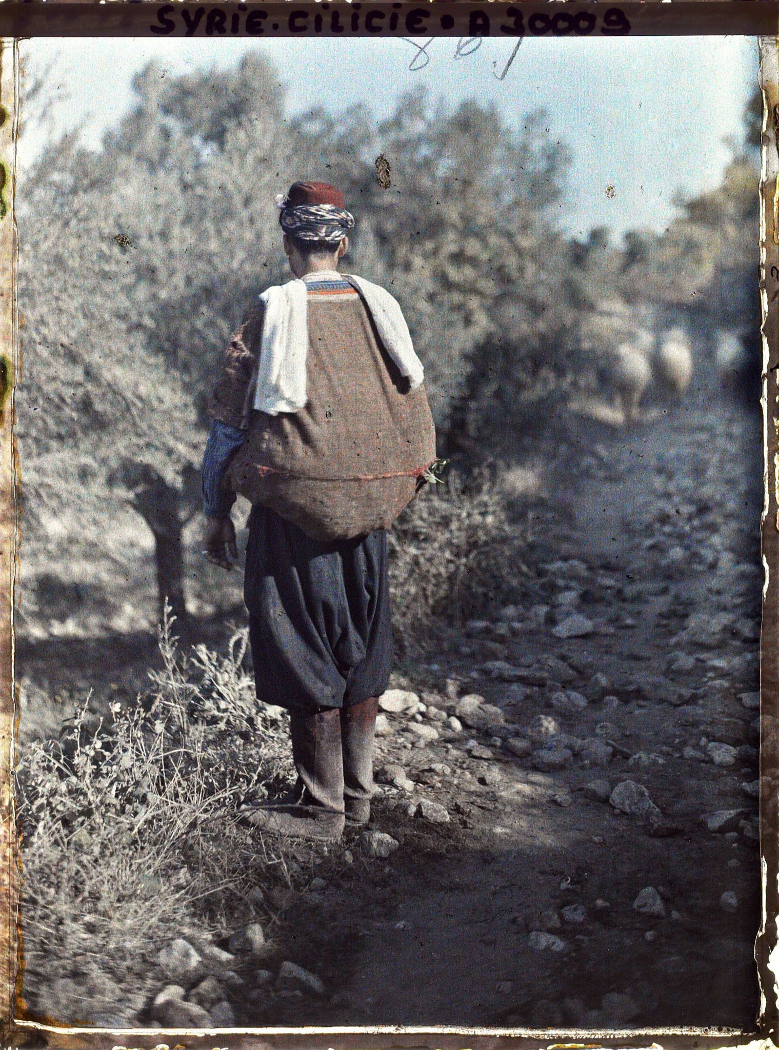 Image représentant Berger turc ou alawite de dos, portant un gilet formant une besace dorsale