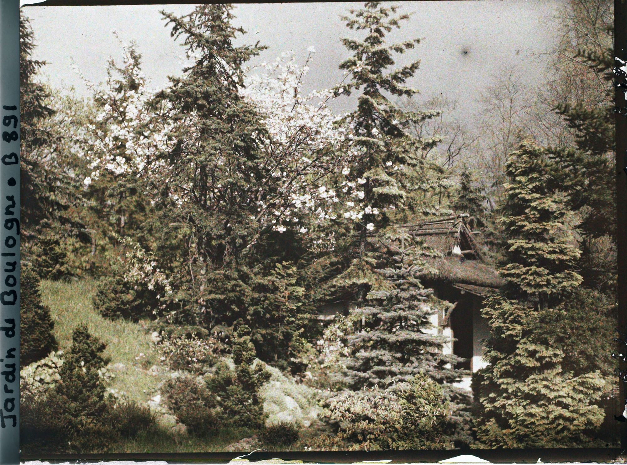Image représentant Pavillon de thé blotti dans un écrin de verdure, vu depuis l'ouest du " village japonais "