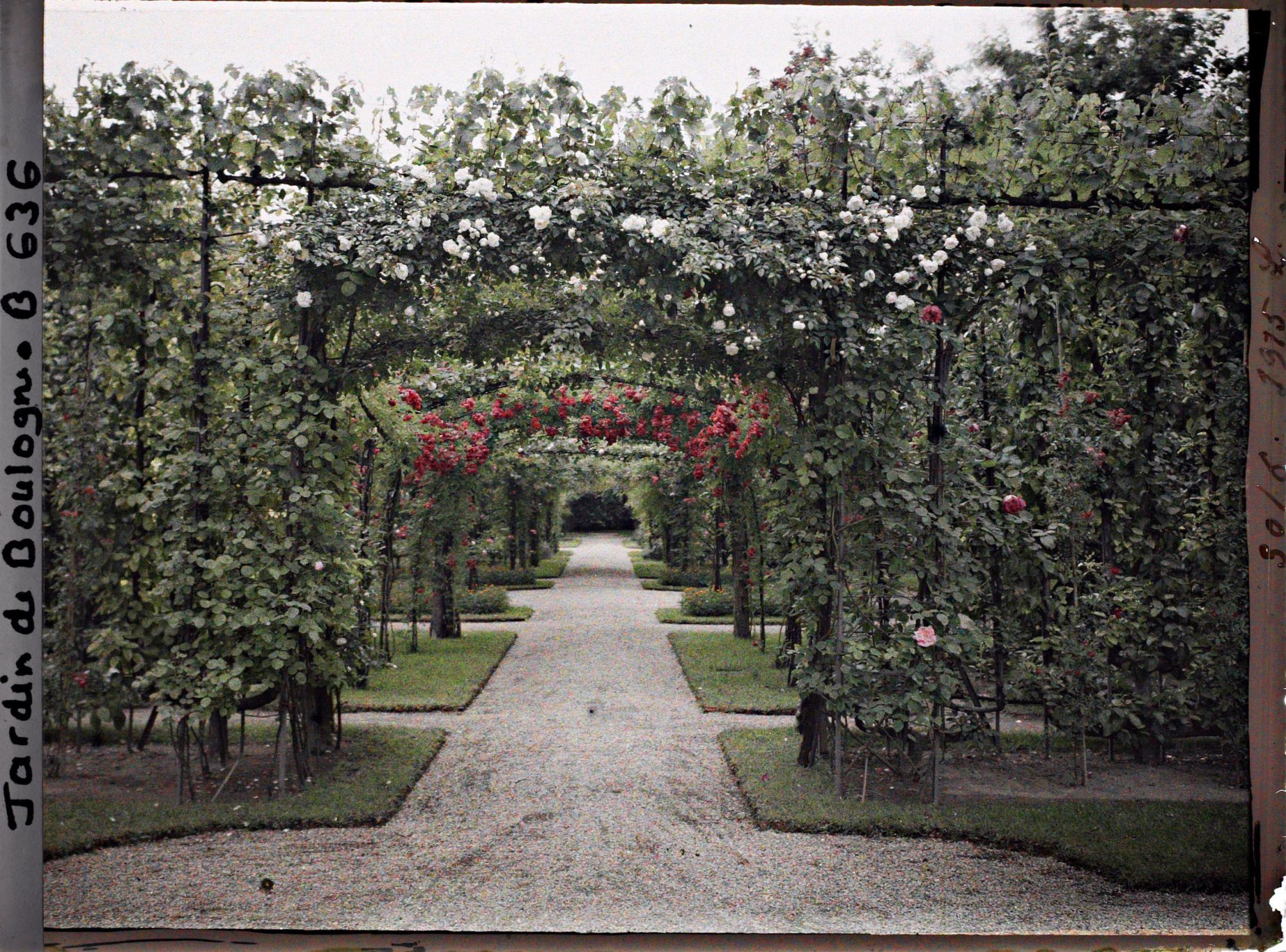 Image représentant Axe central du verger-roseraie vu en direction de la dépendance, à la limite du jardin français