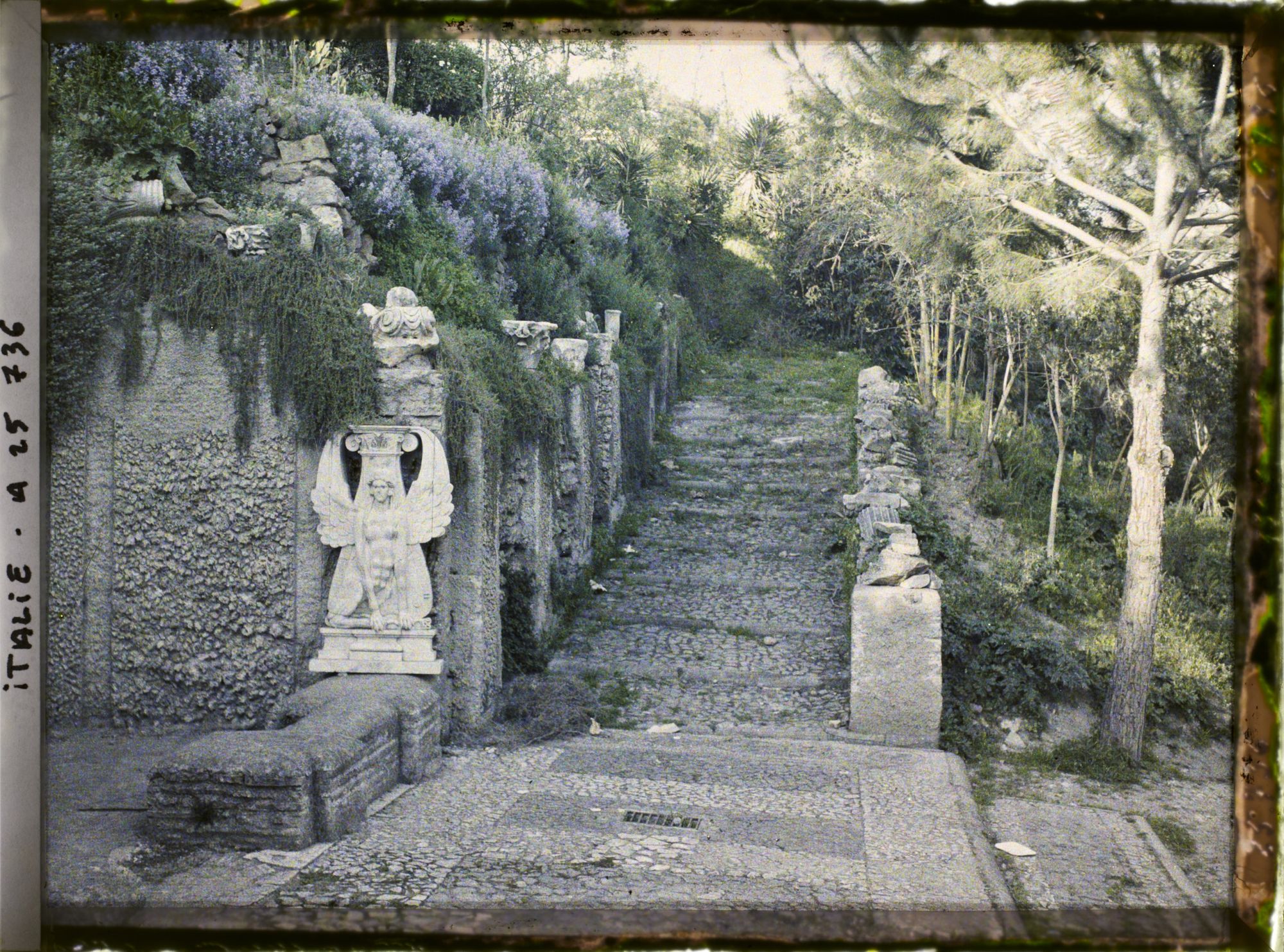 Image représentant Italie, Rome, Paysage dans les ruines du Palatin
